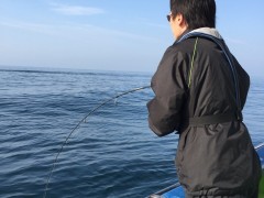 20150510浅八丸8