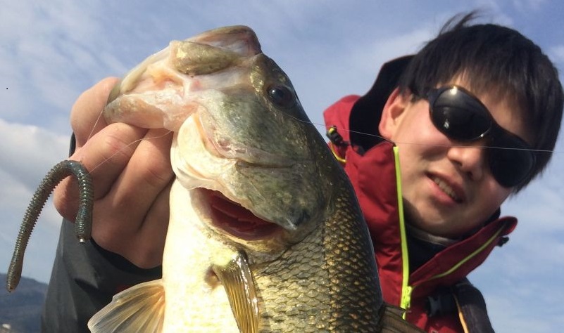 厳寒期を越え、春の兆しが見えてきた琵琶湖