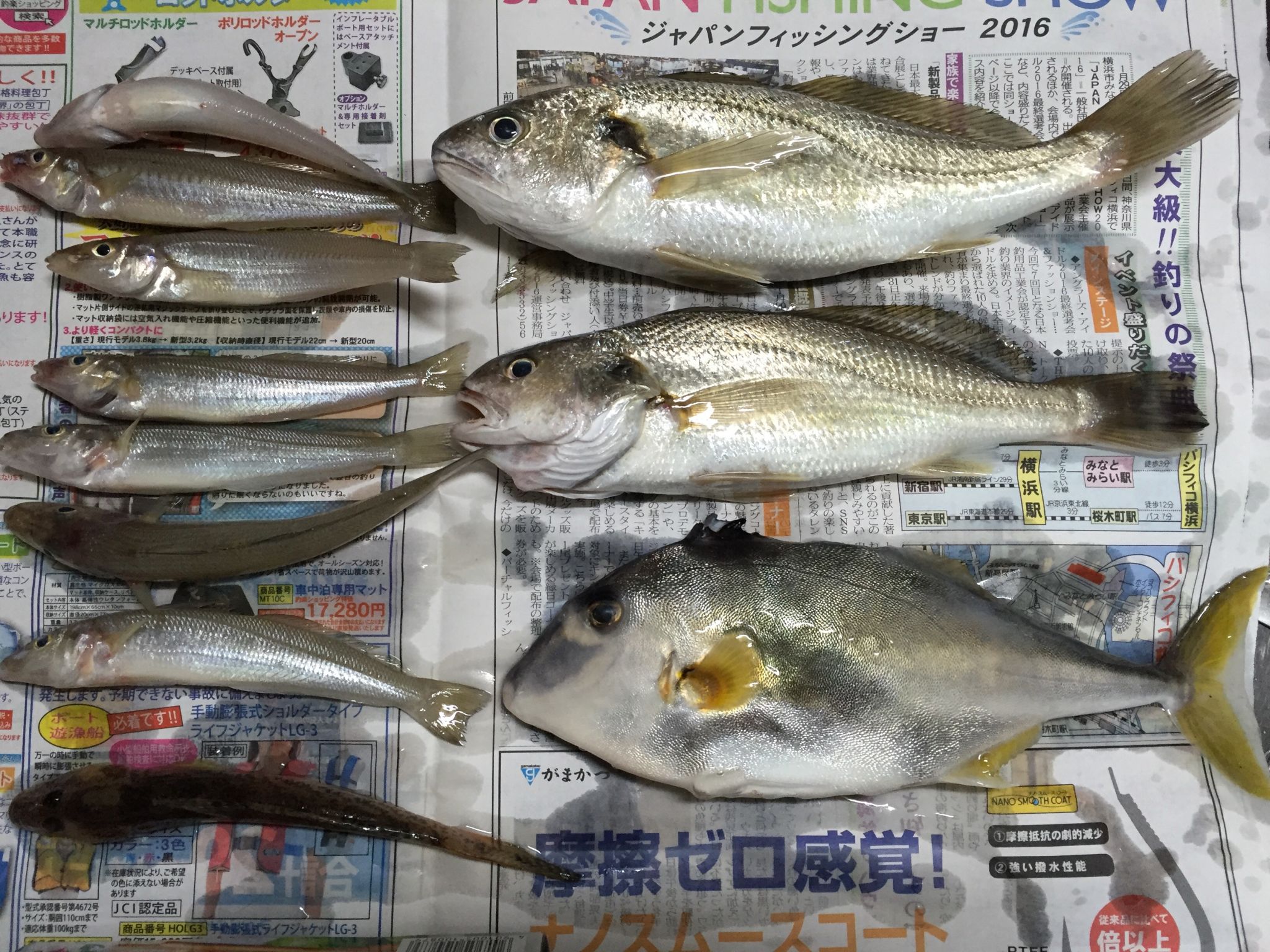 市原海釣り施設でのんびり！釣り！