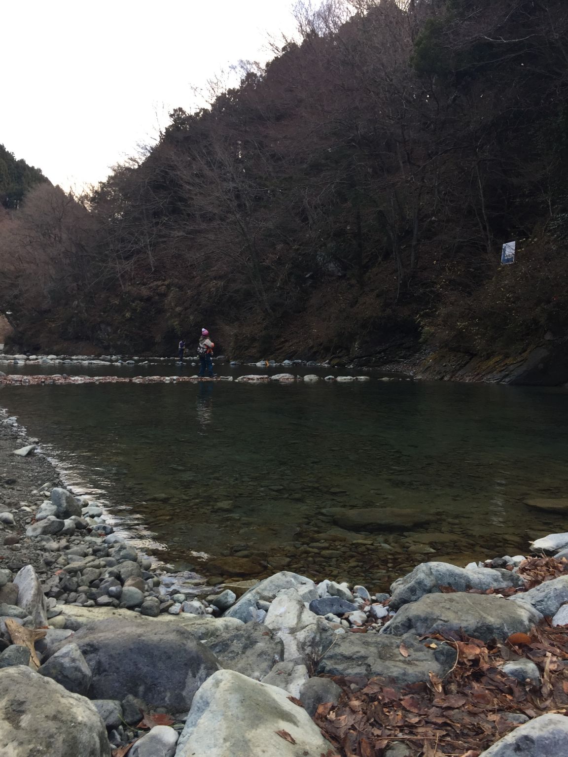 リヴァスポット早戸でトラウト釣り！