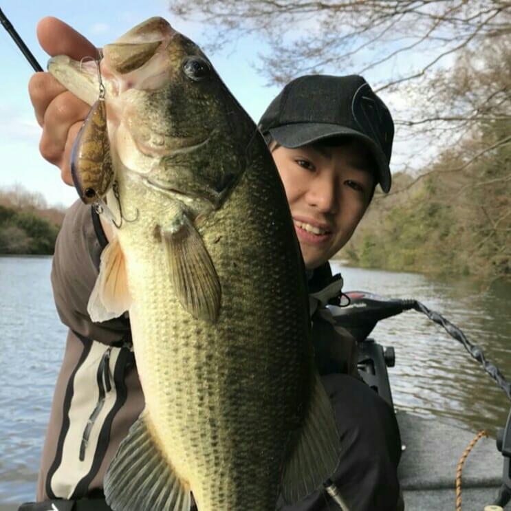 ３月２２日の将監川