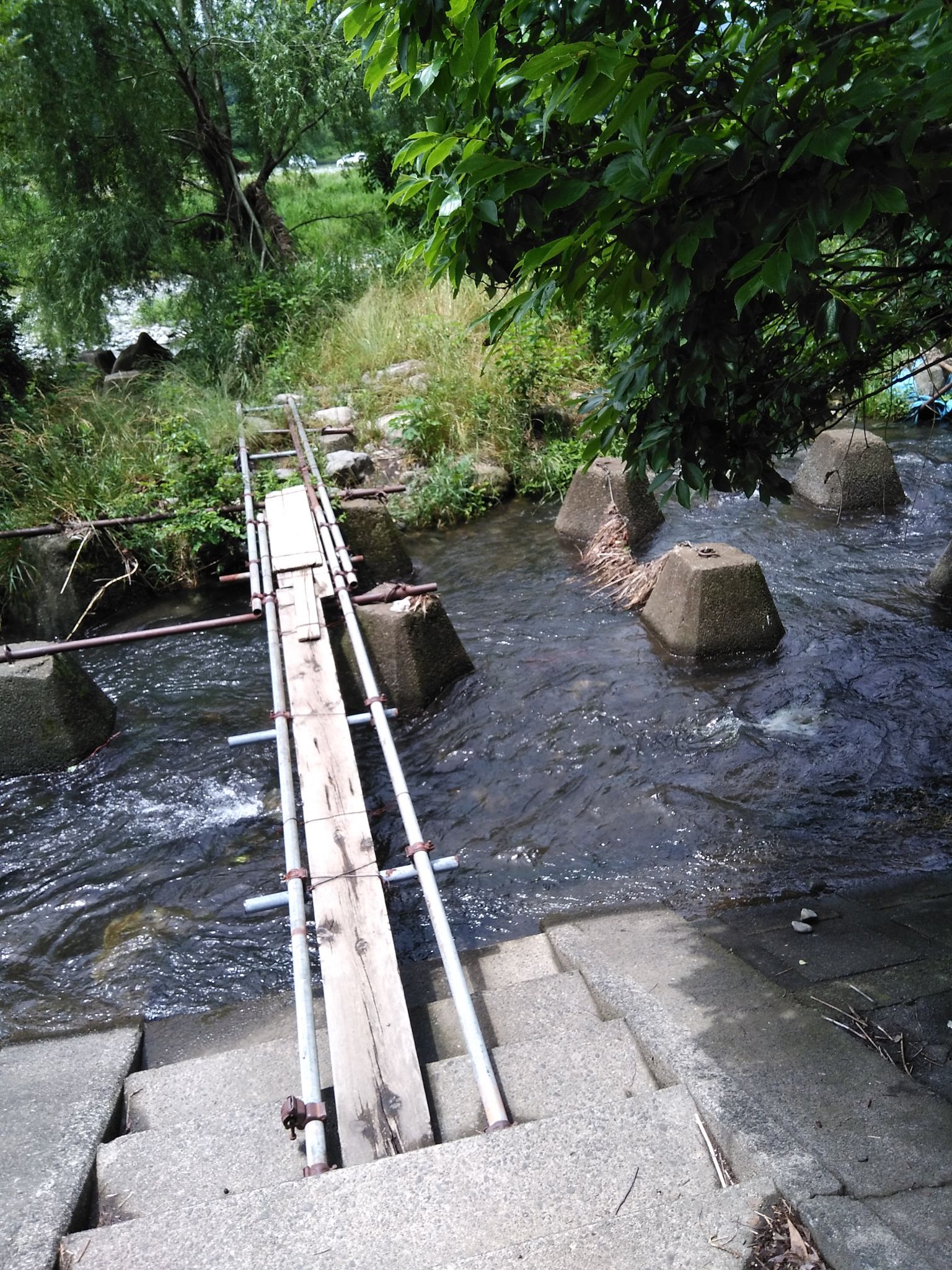 川原でのんびり雑魚釣り♫