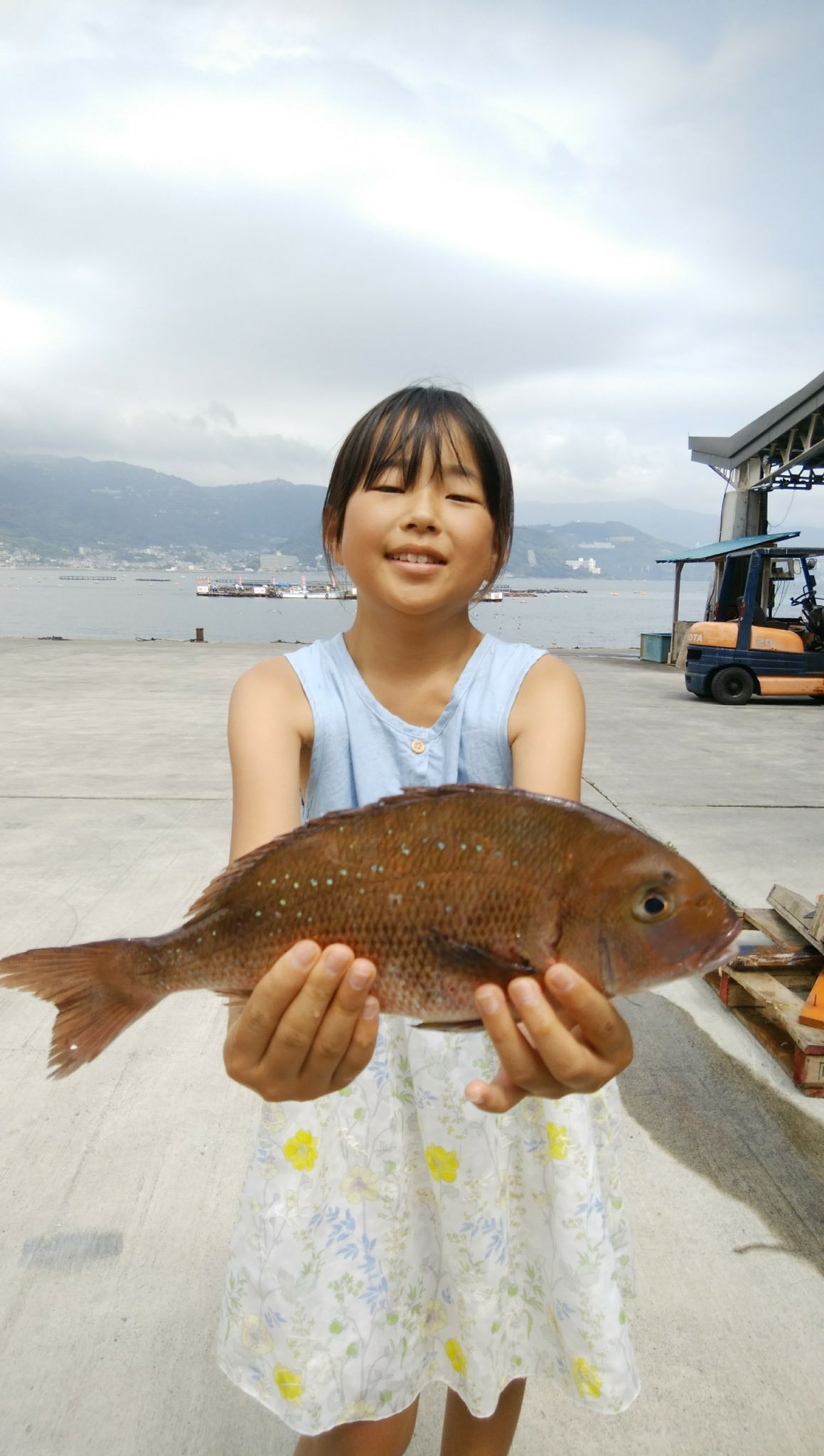 伊豆旅行にいかがですか？海上釣り堀✨