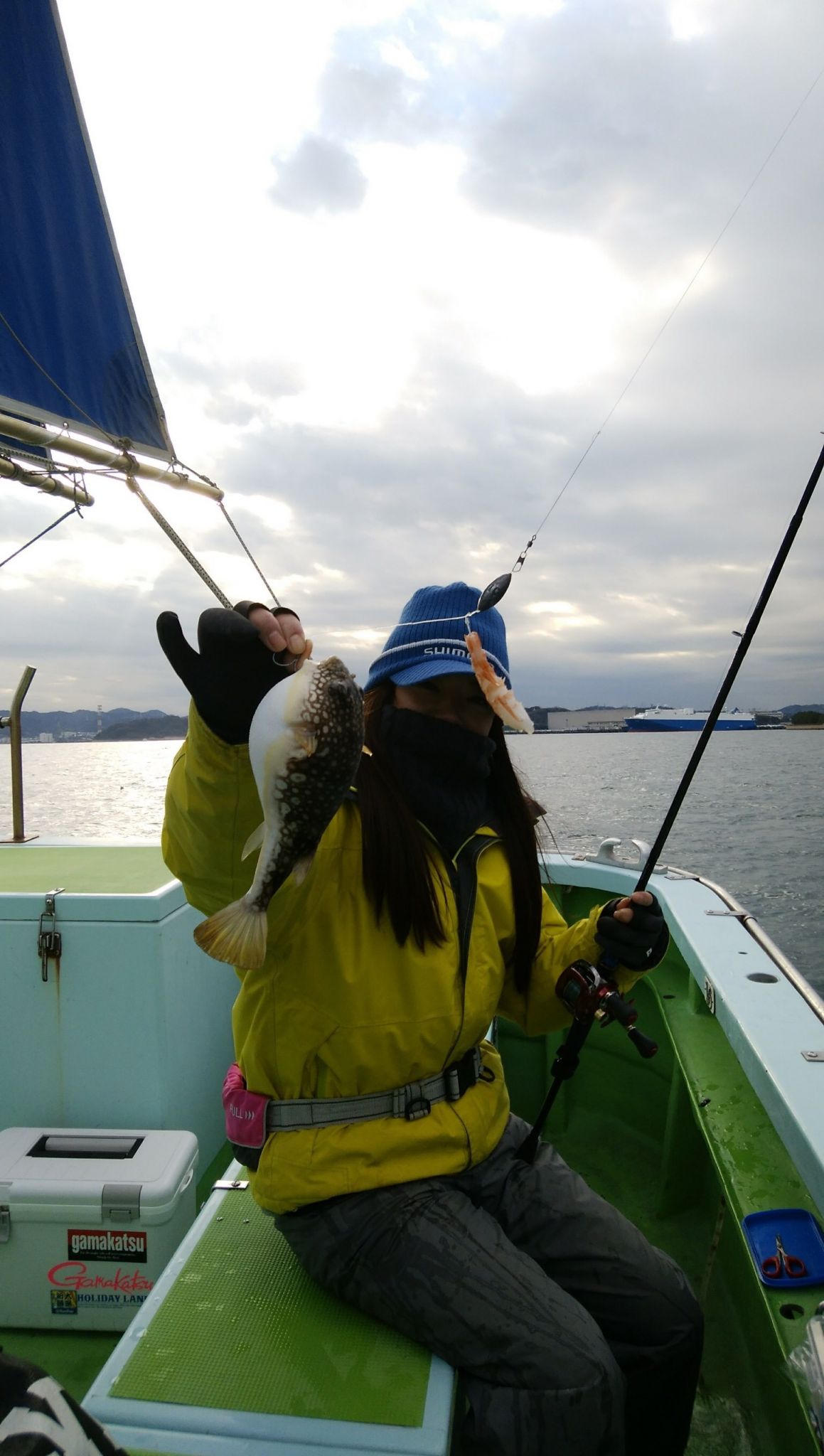 東京湾、湾フグ釣り?