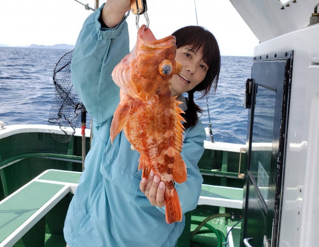 【通販 人気】 根付け割れ木魚河原明秀 その他