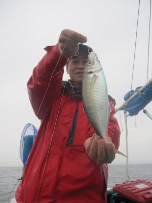 和歌山県湯浅デカアジ釣り