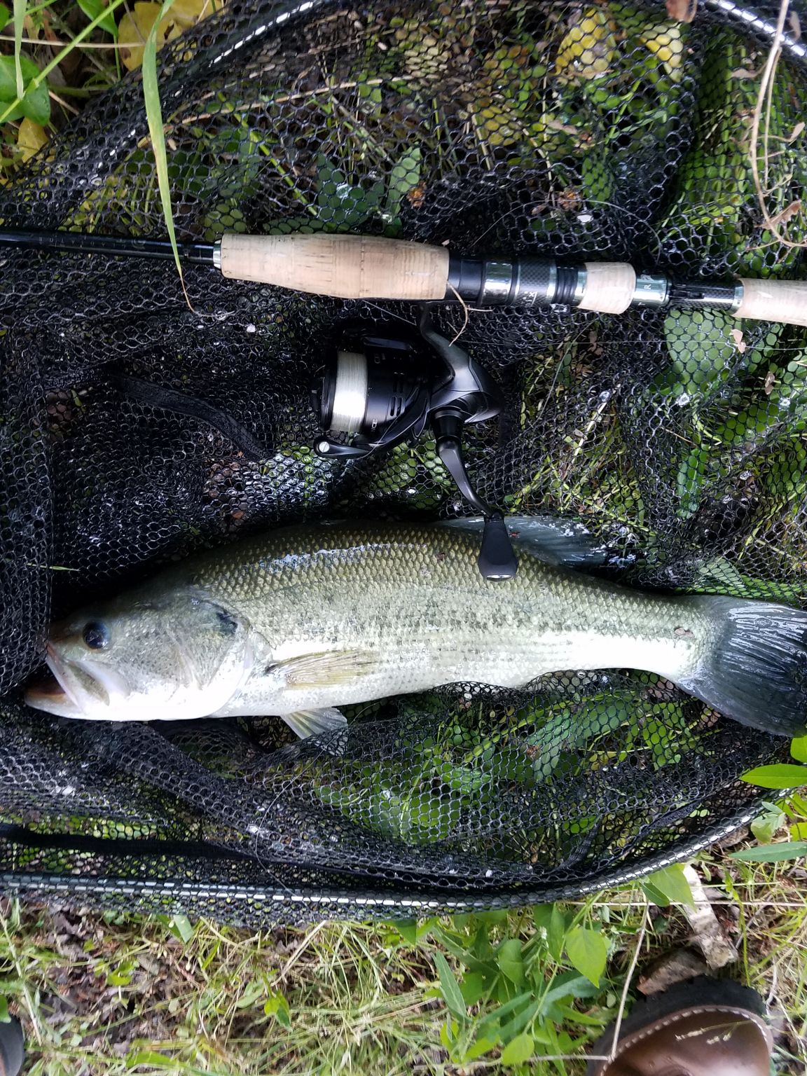 相変わらずセコい釣り