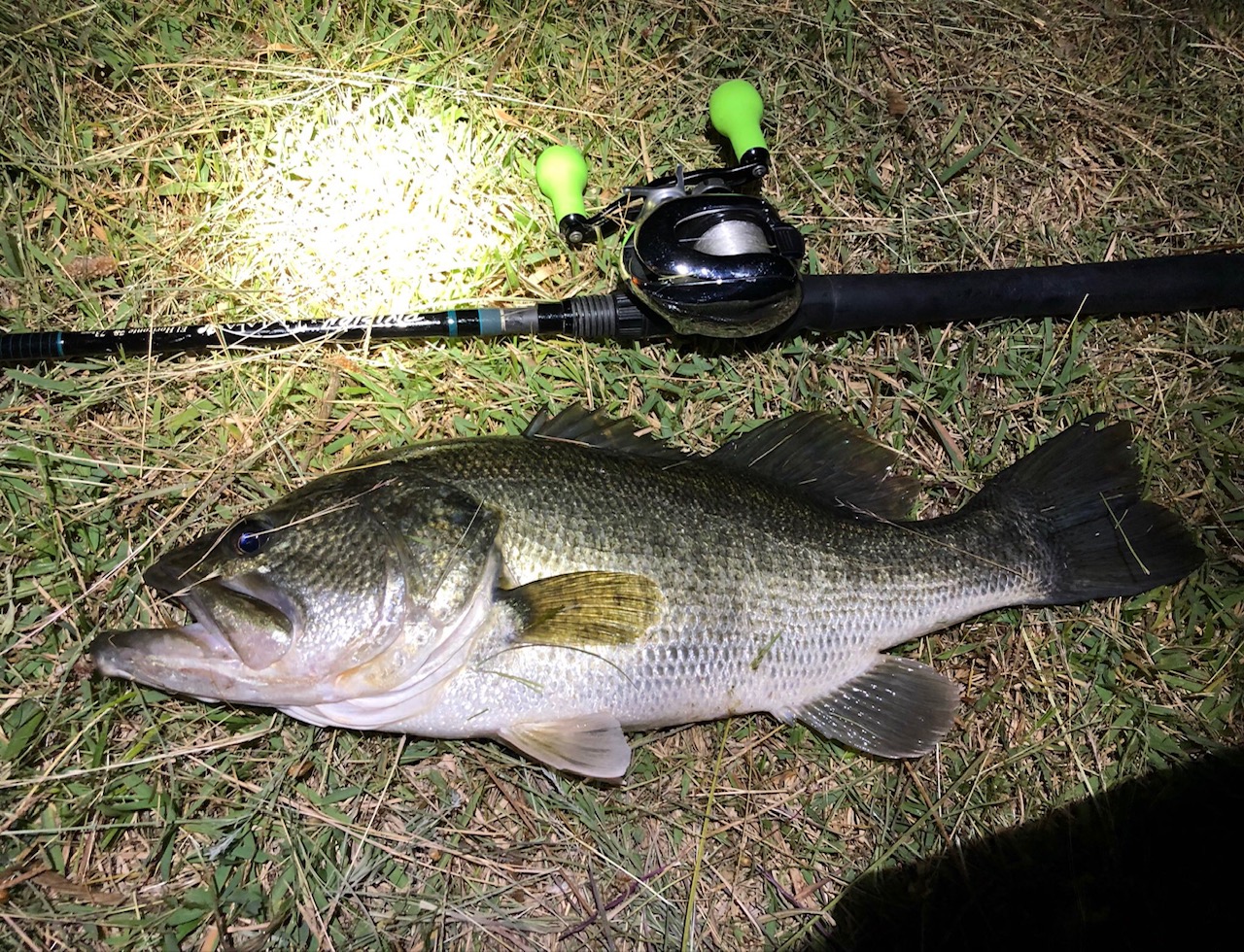 仕事終わりにスタッフと琵琶湖釣行