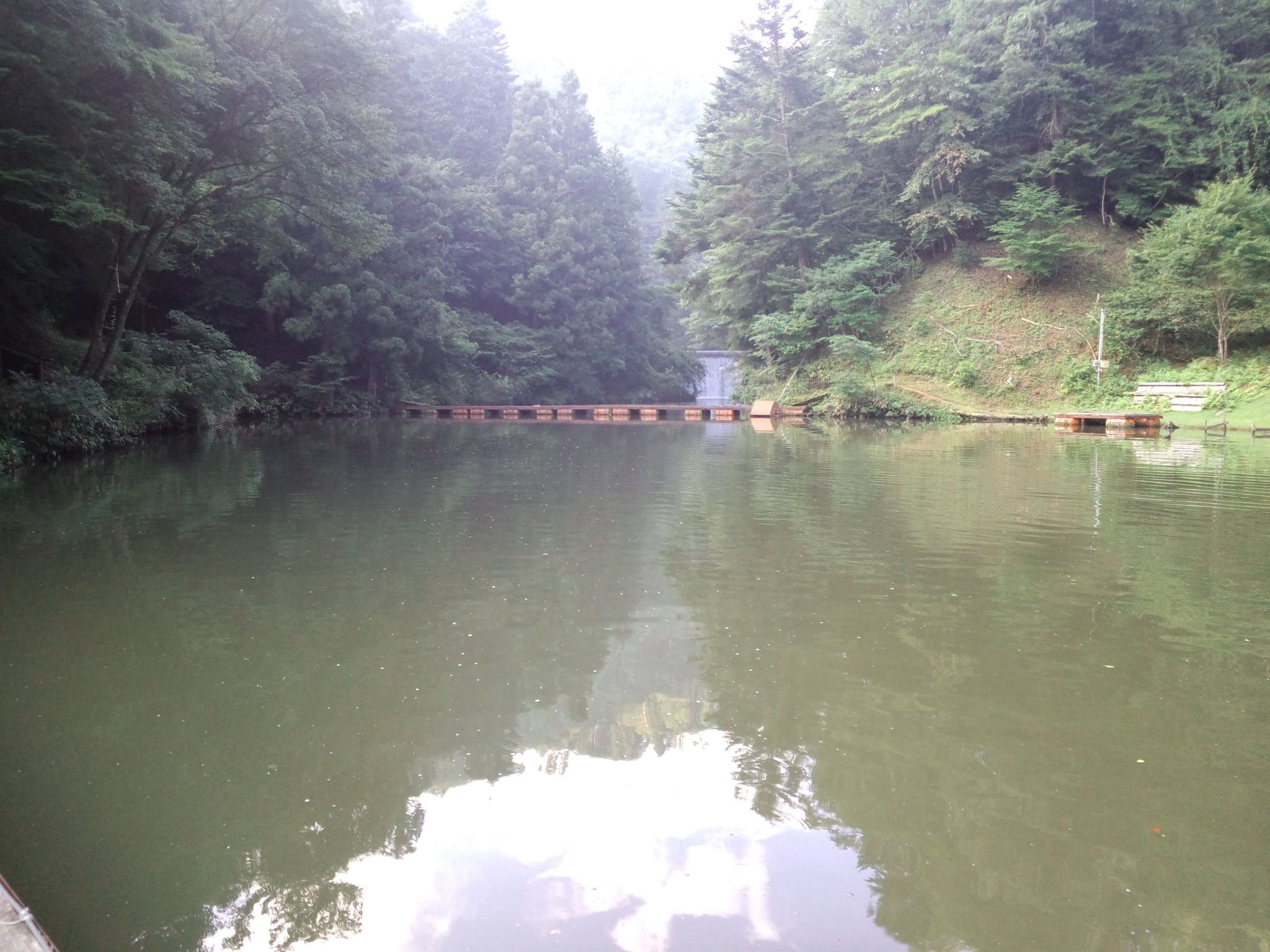 梅雨明け直後、なごみ本湖へ突撃。