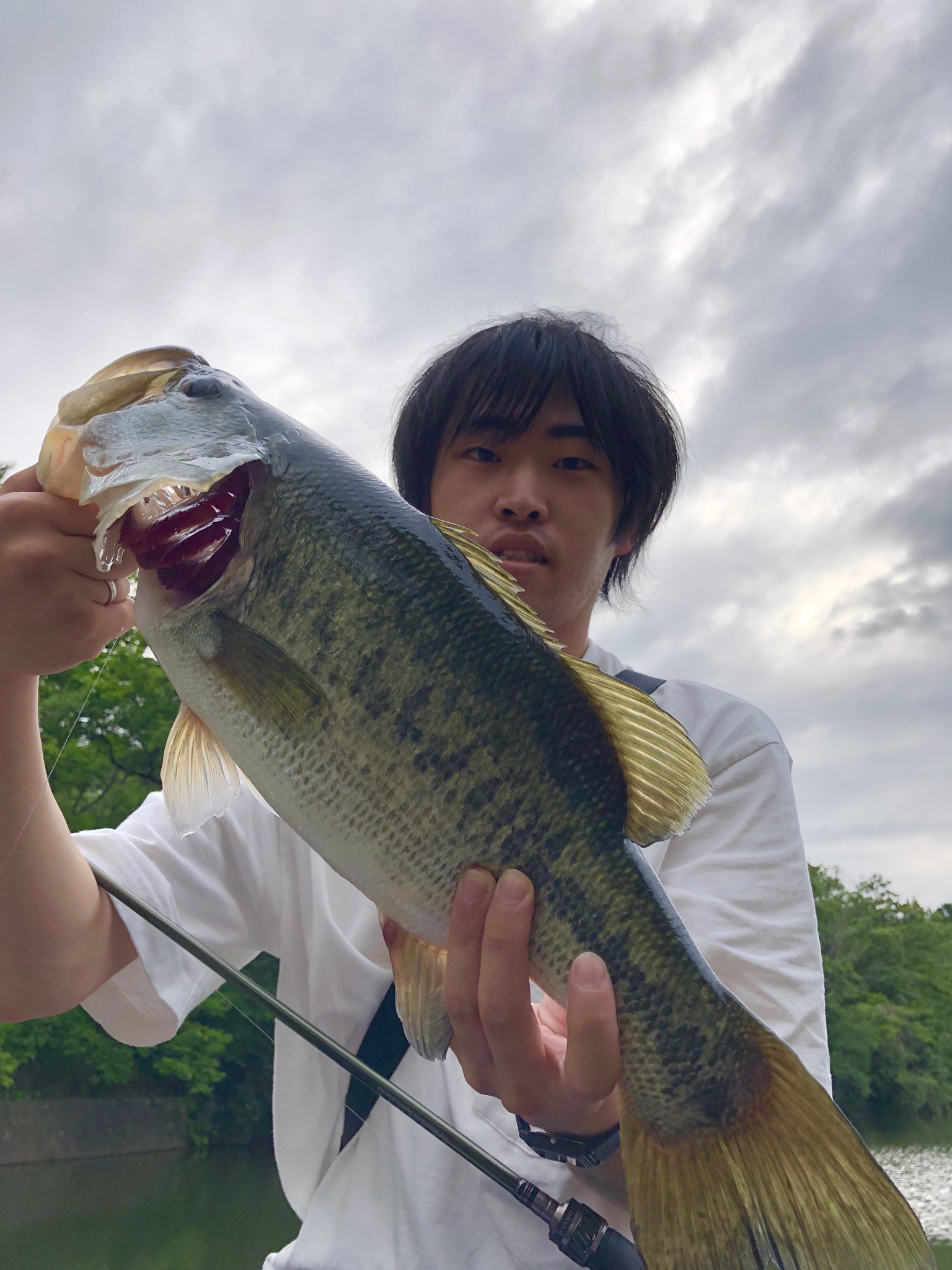 夕涼みバス釣行③