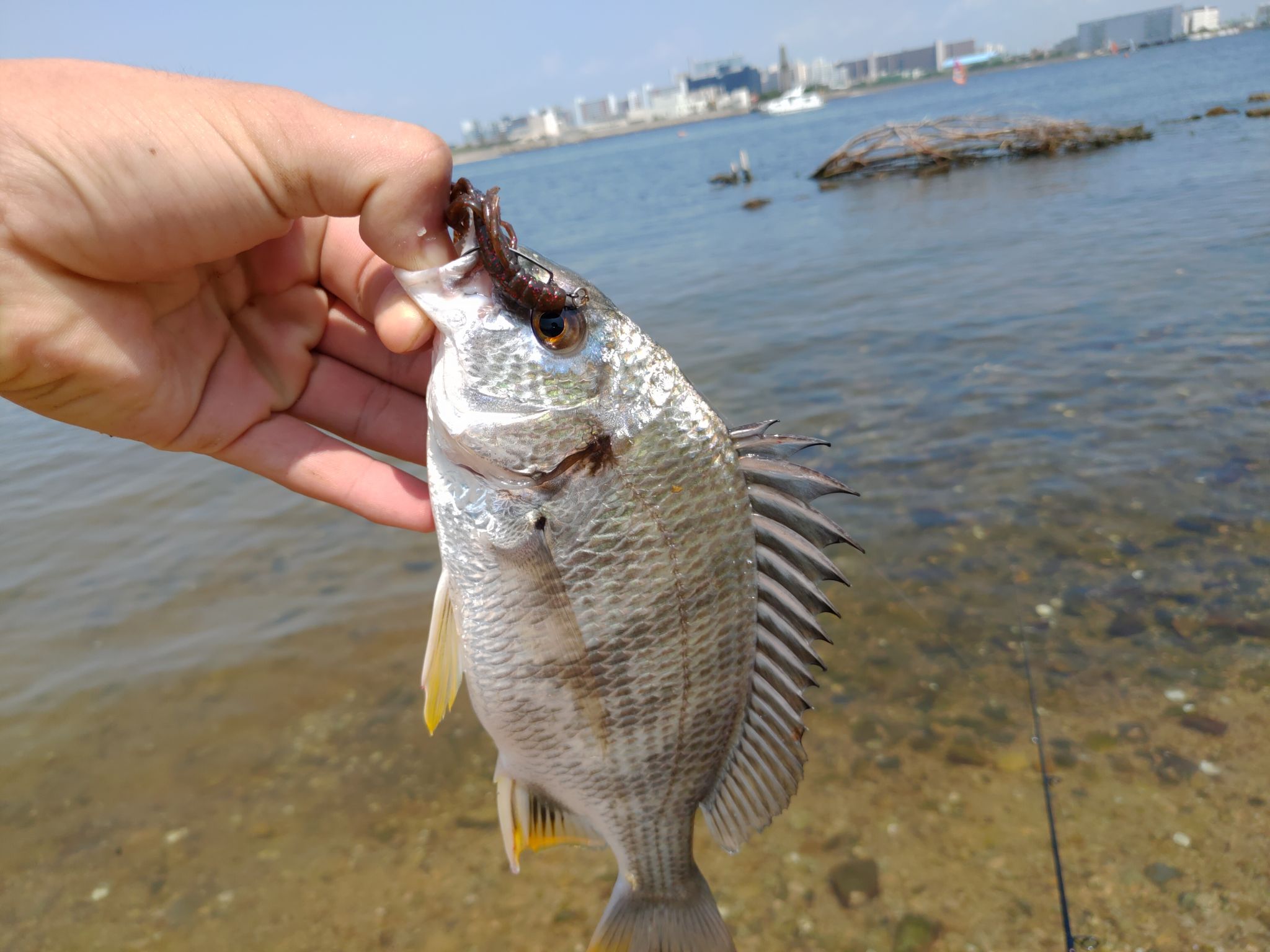 朝はチニング練習