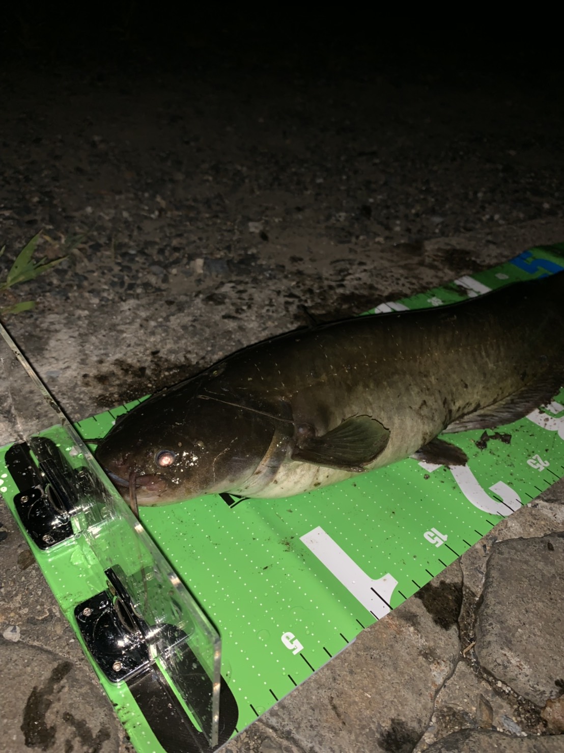 仕事終わりの琵琶湖釣行