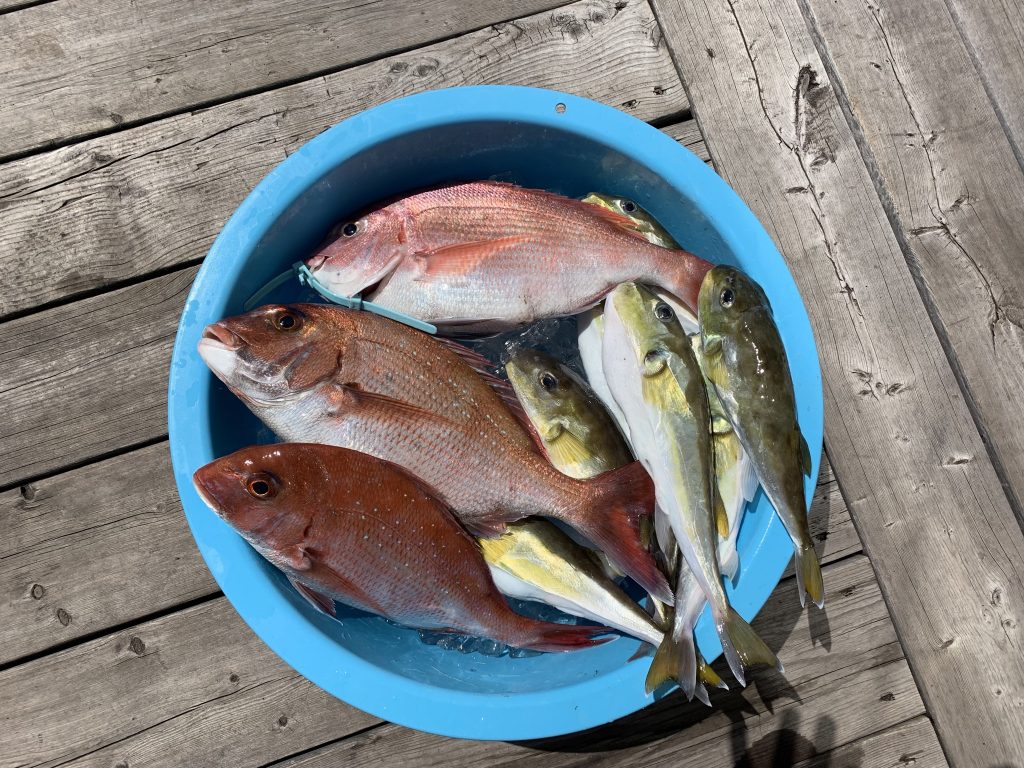 撃沈！東京湾タイラバ。