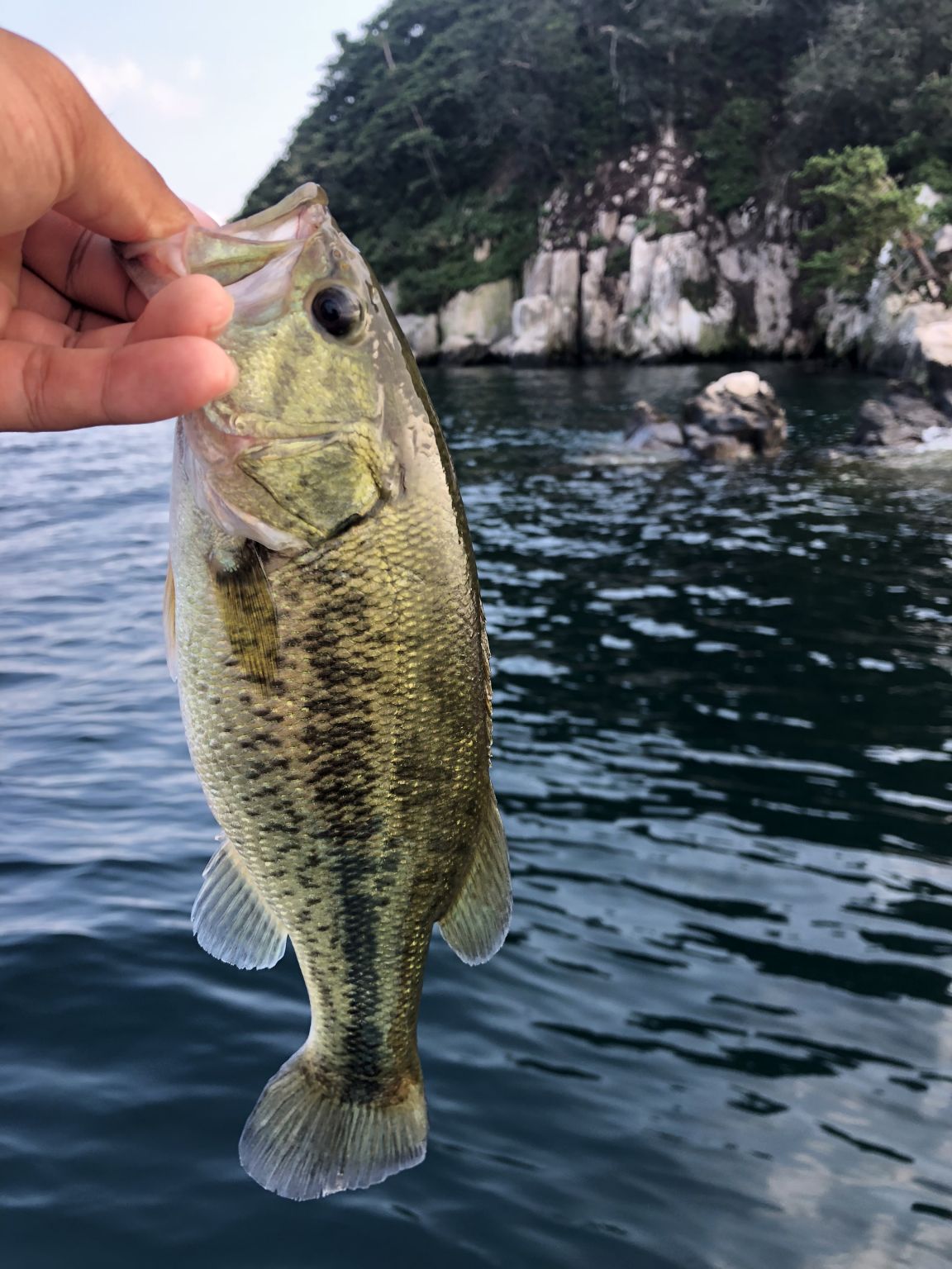 琵琶湖 竹生島巡り