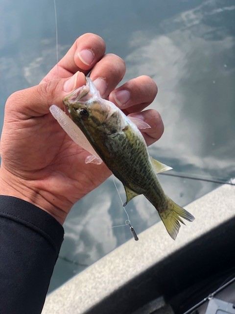 ボート釣行！流行の南湖ディープホール狙い！