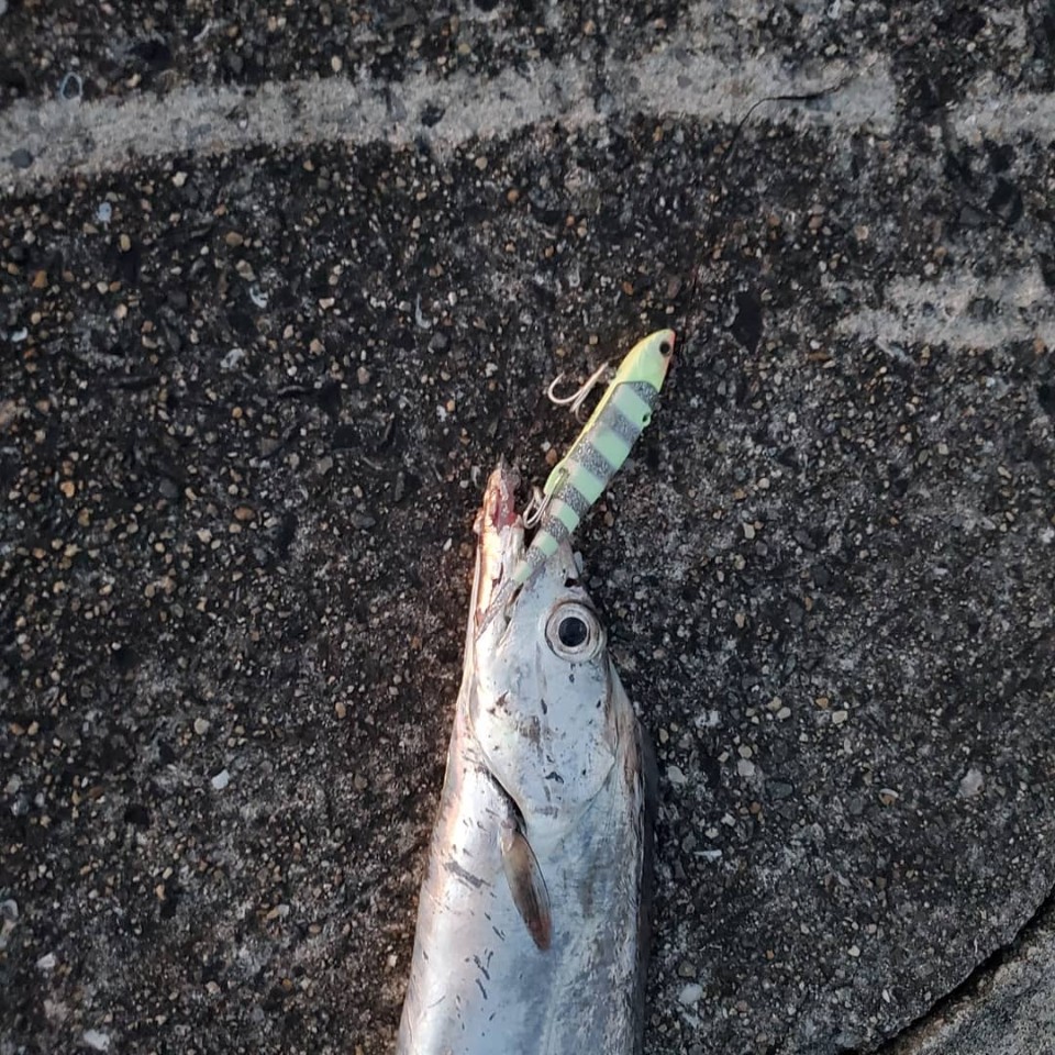 水軒一文字で太刀魚狙い