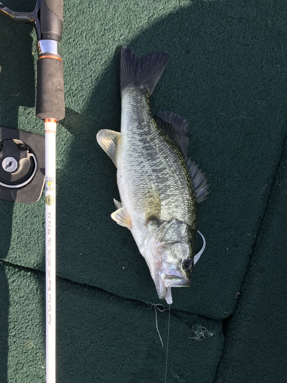 釣りクラブin琵琶湖