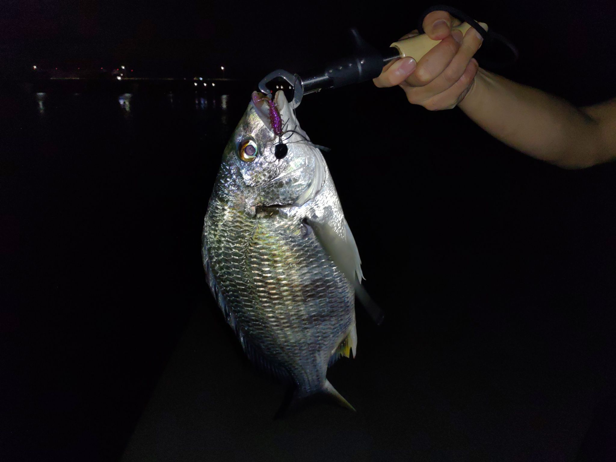 チニング好調です！