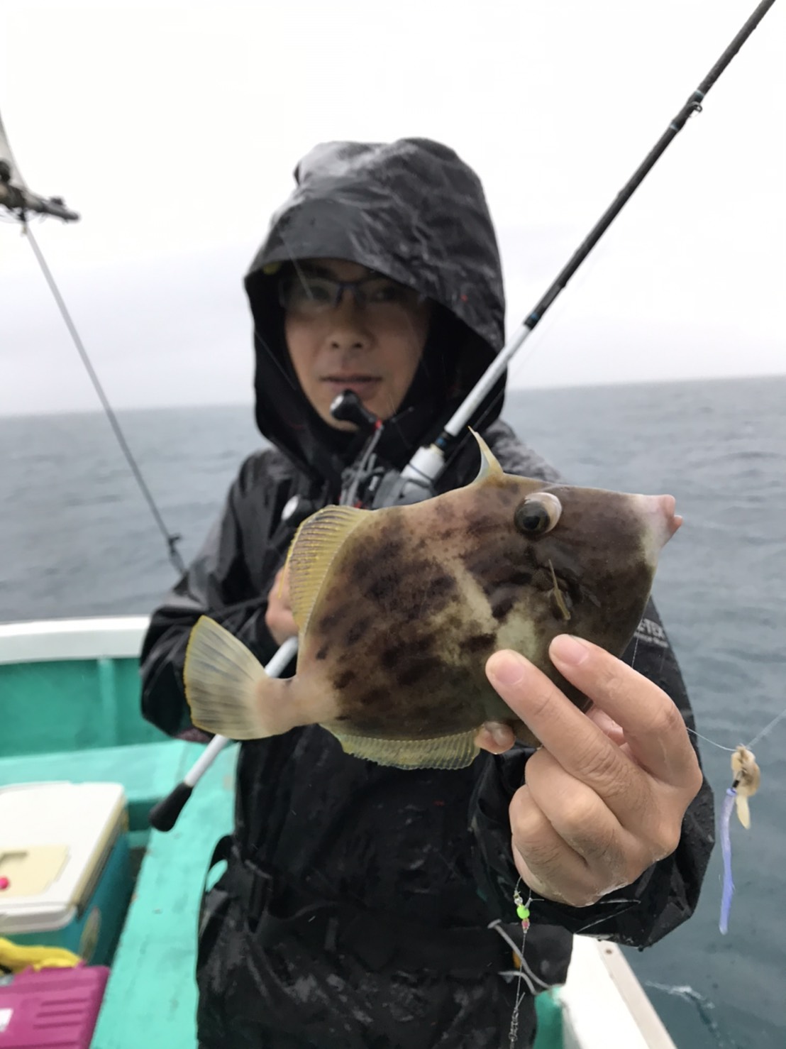 中紀でカワハギ釣り！