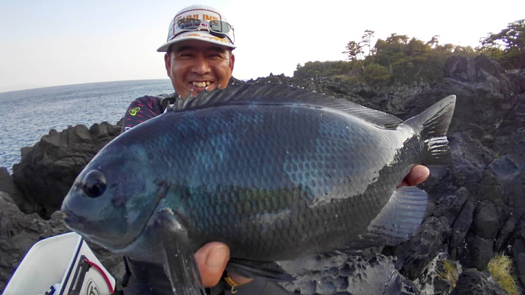 東伊豆地磯のグレ