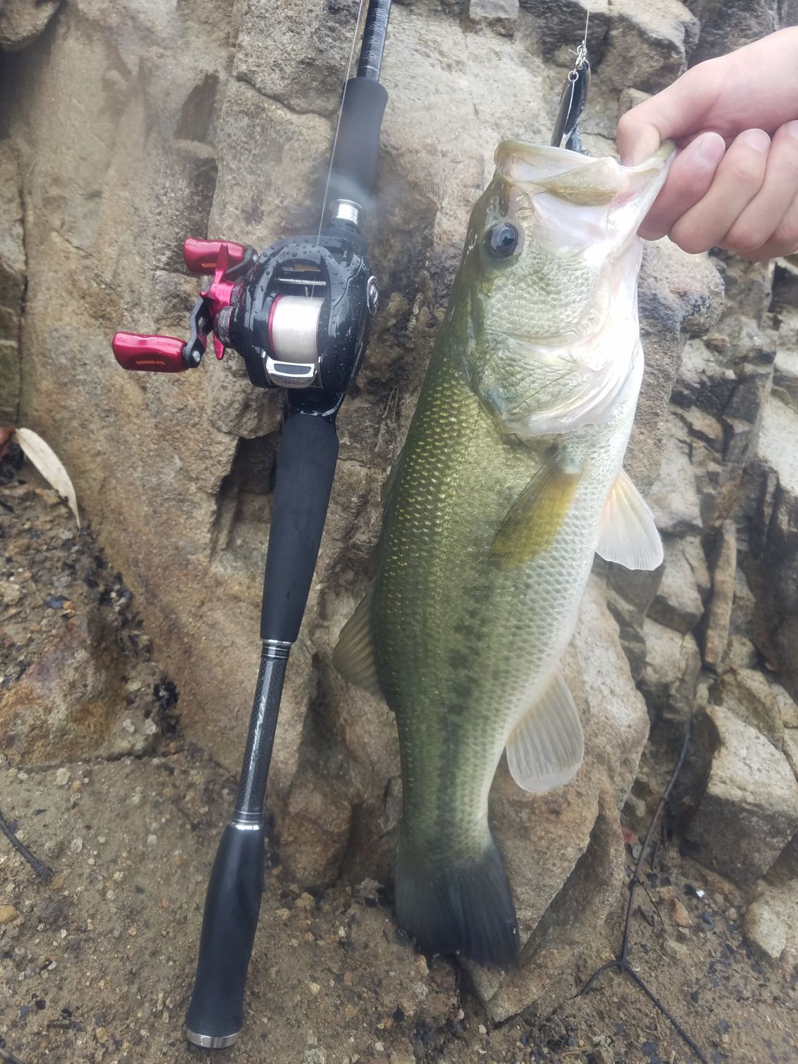 まだまだ釣り足りない