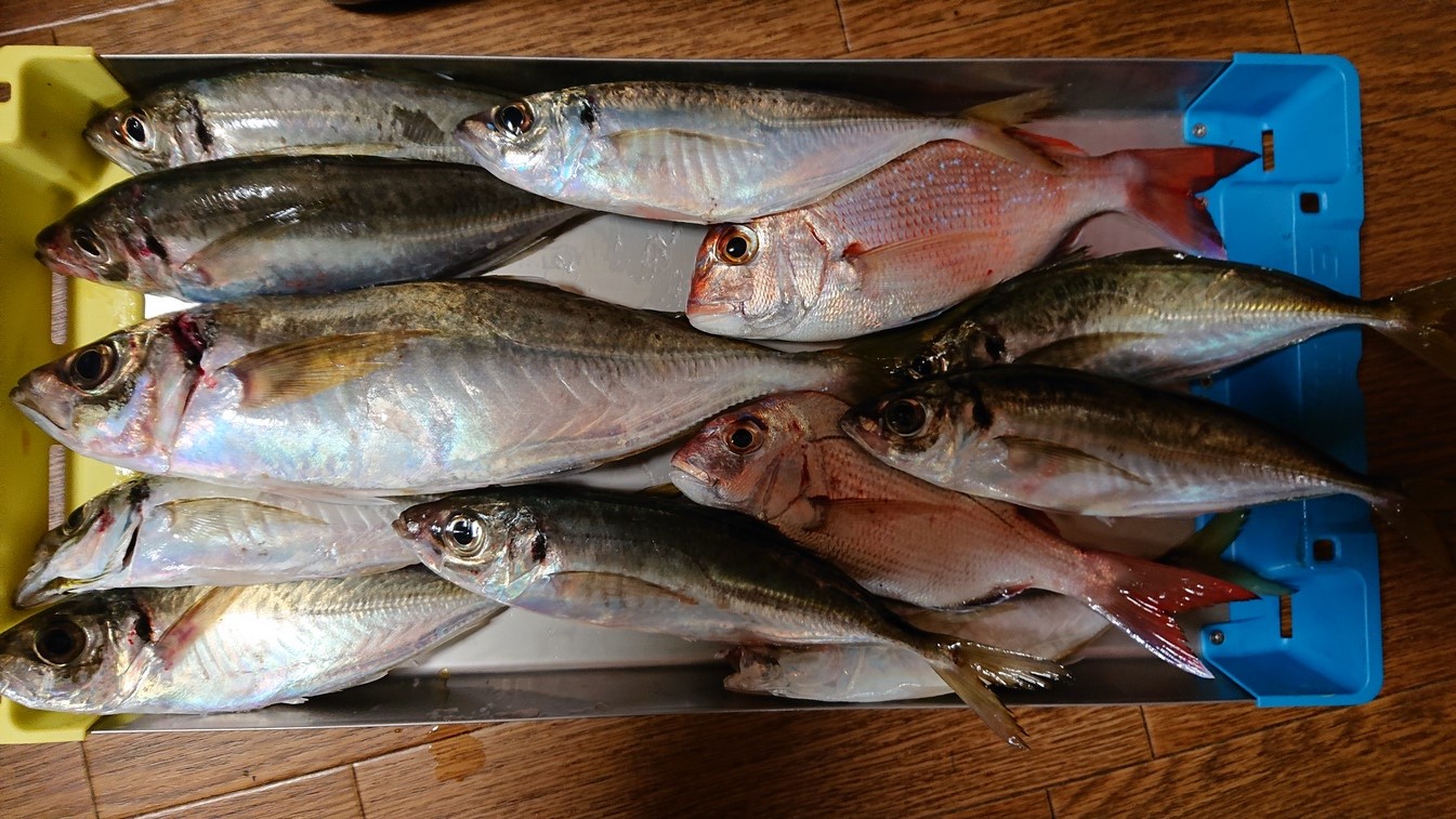 久しぶりにのんびり小物釣り