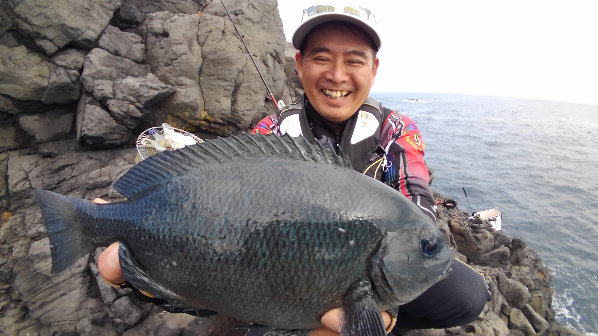 東伊豆地磯のグレ