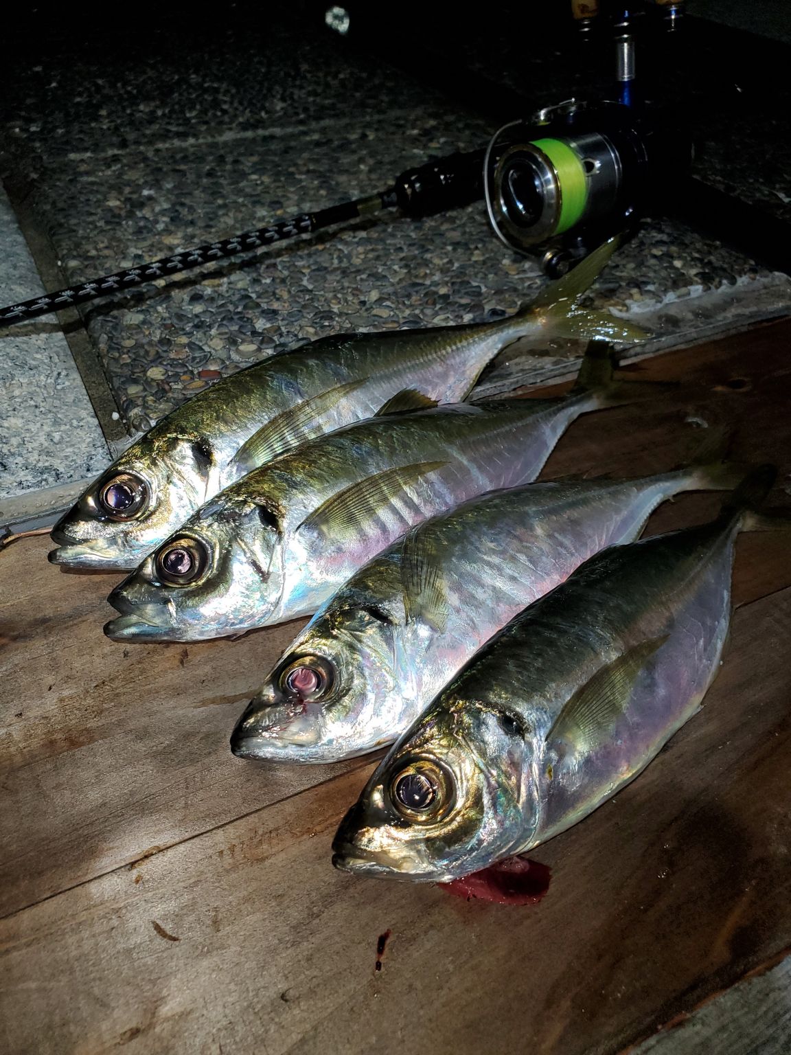 デカアジが釣りたい！