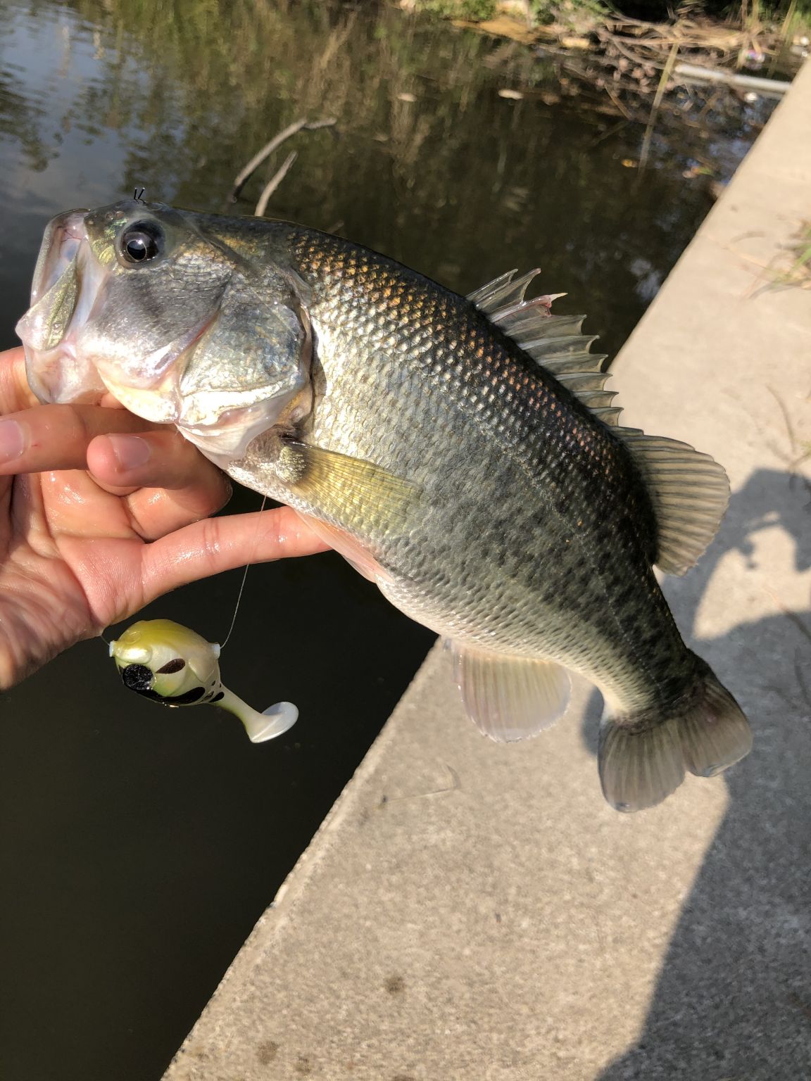 五三川バス釣行！