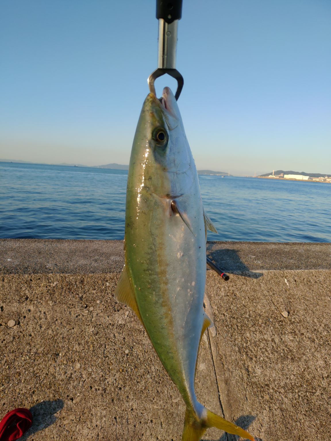 沖堤防ショアジギング