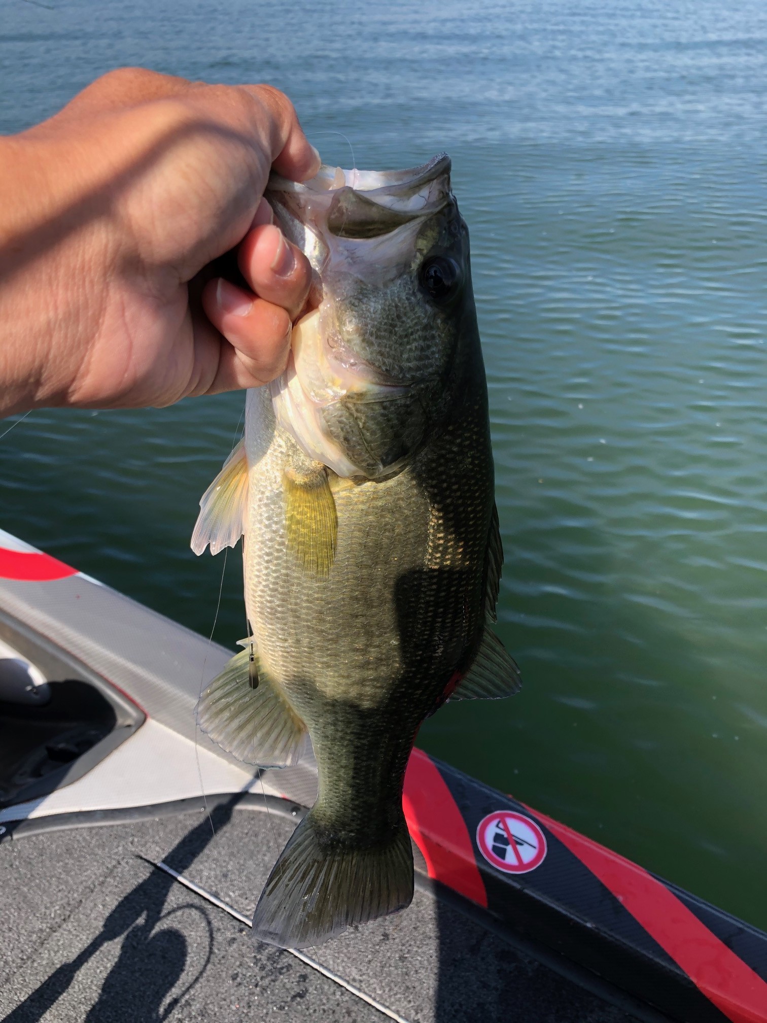 琵琶湖ボート釣行！三宅さんガイド！