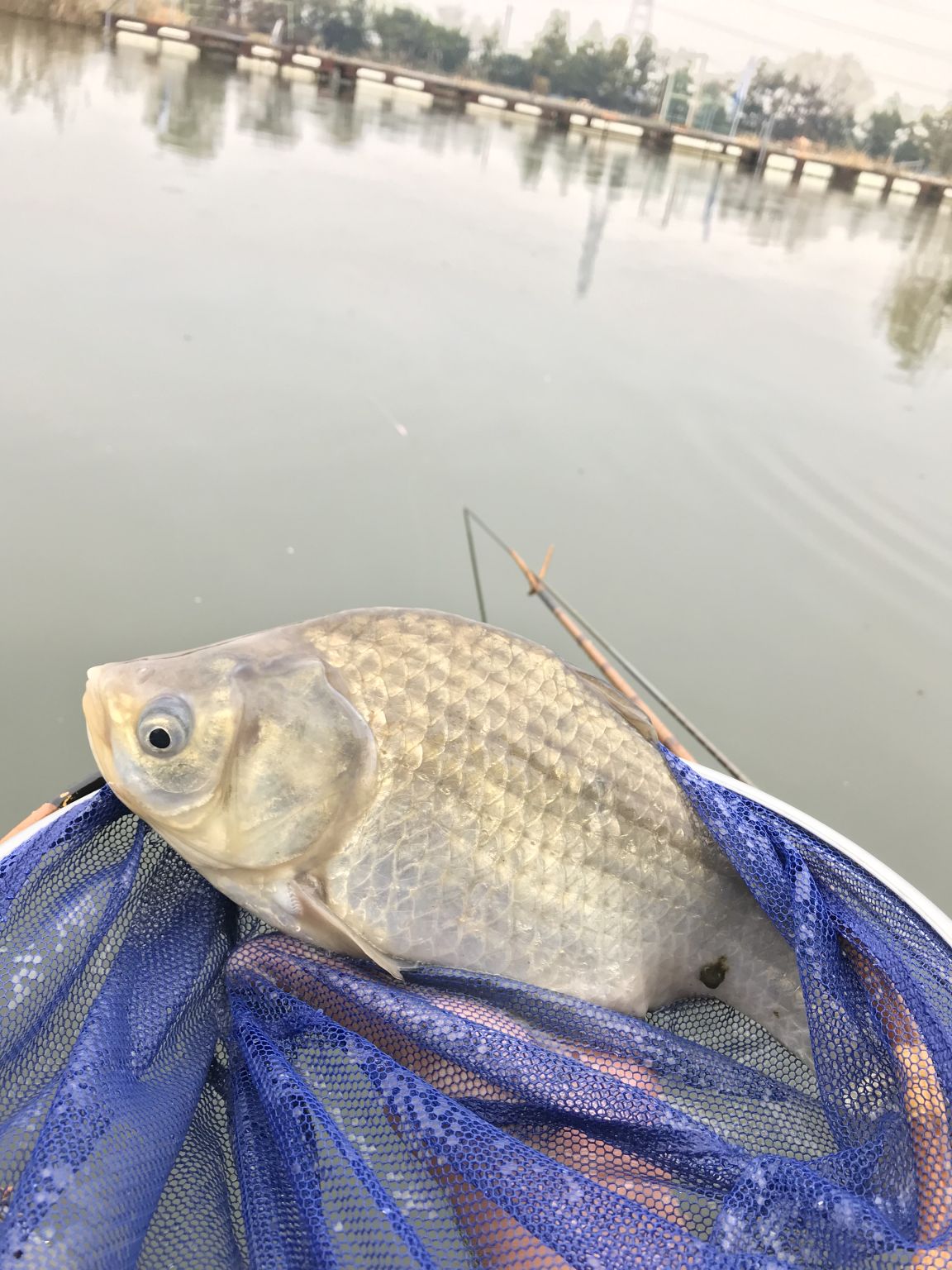 YY会例会！in筑波流源湖！