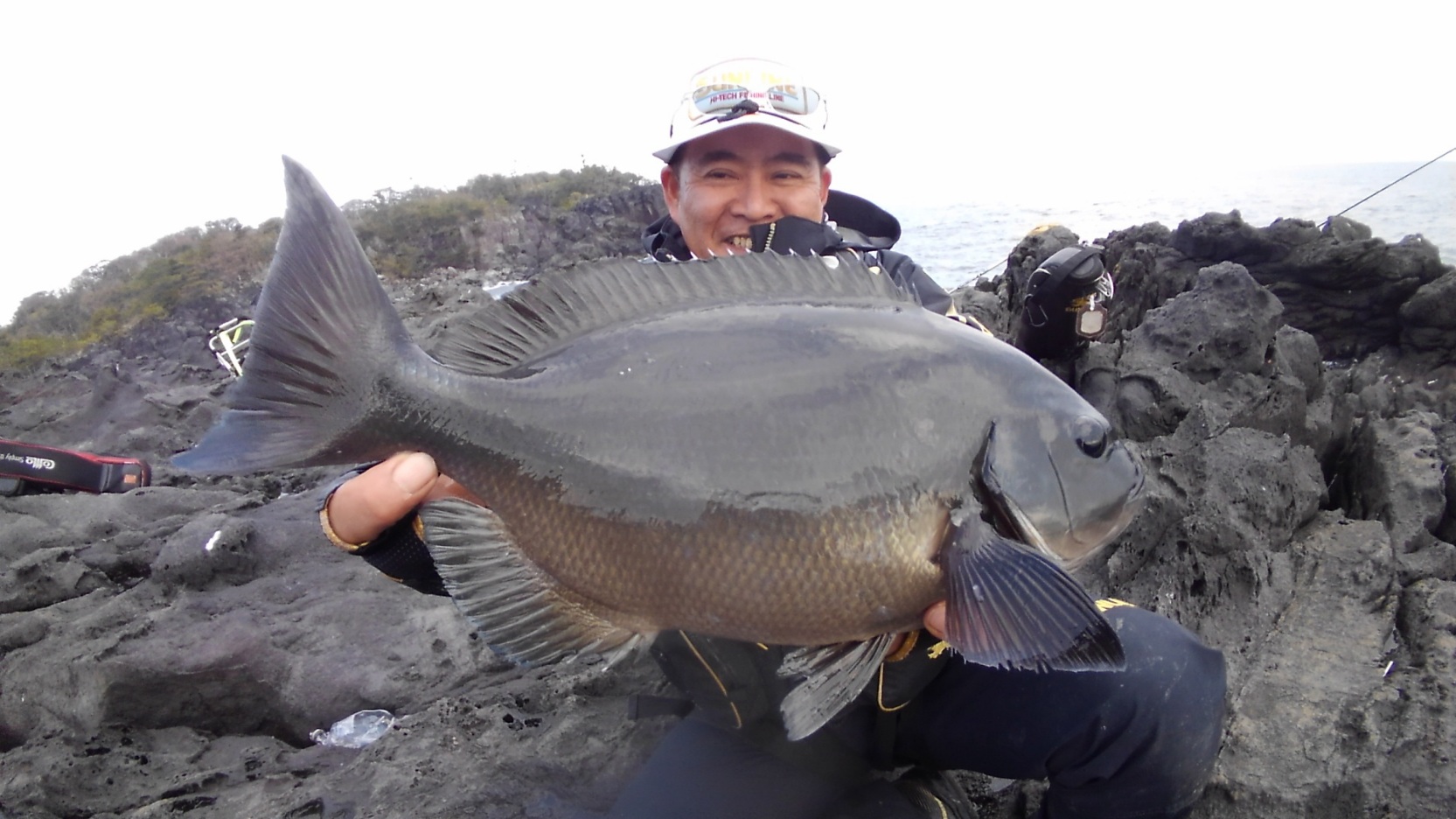 東伊豆地磯のグレ