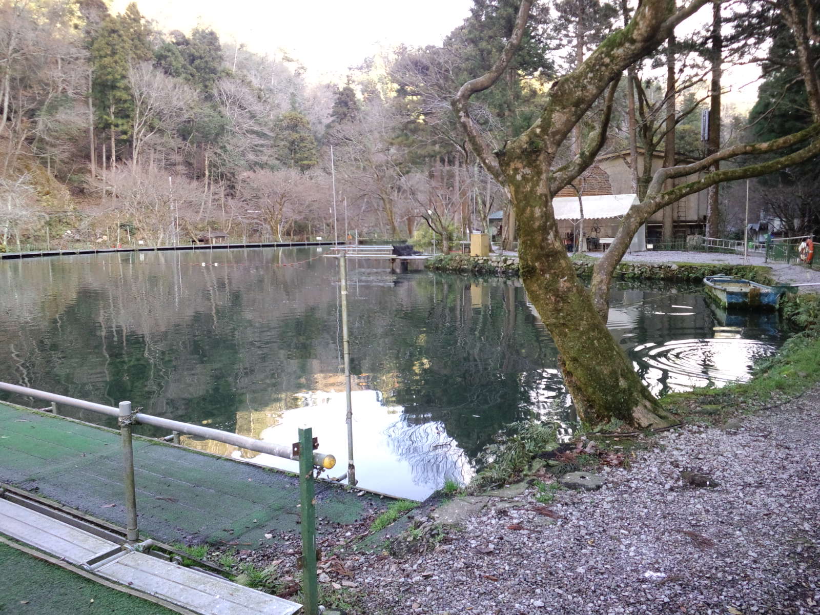 エリアトラウト梯子釣行　其の壱　醒井編