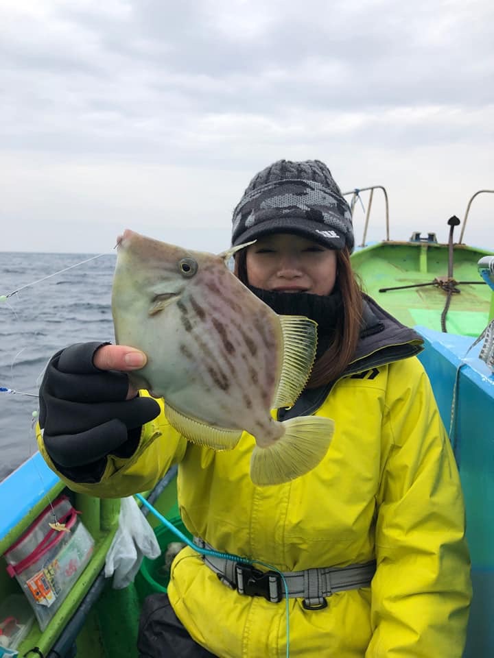 東京湾竹岡沖カワハギ釣り?