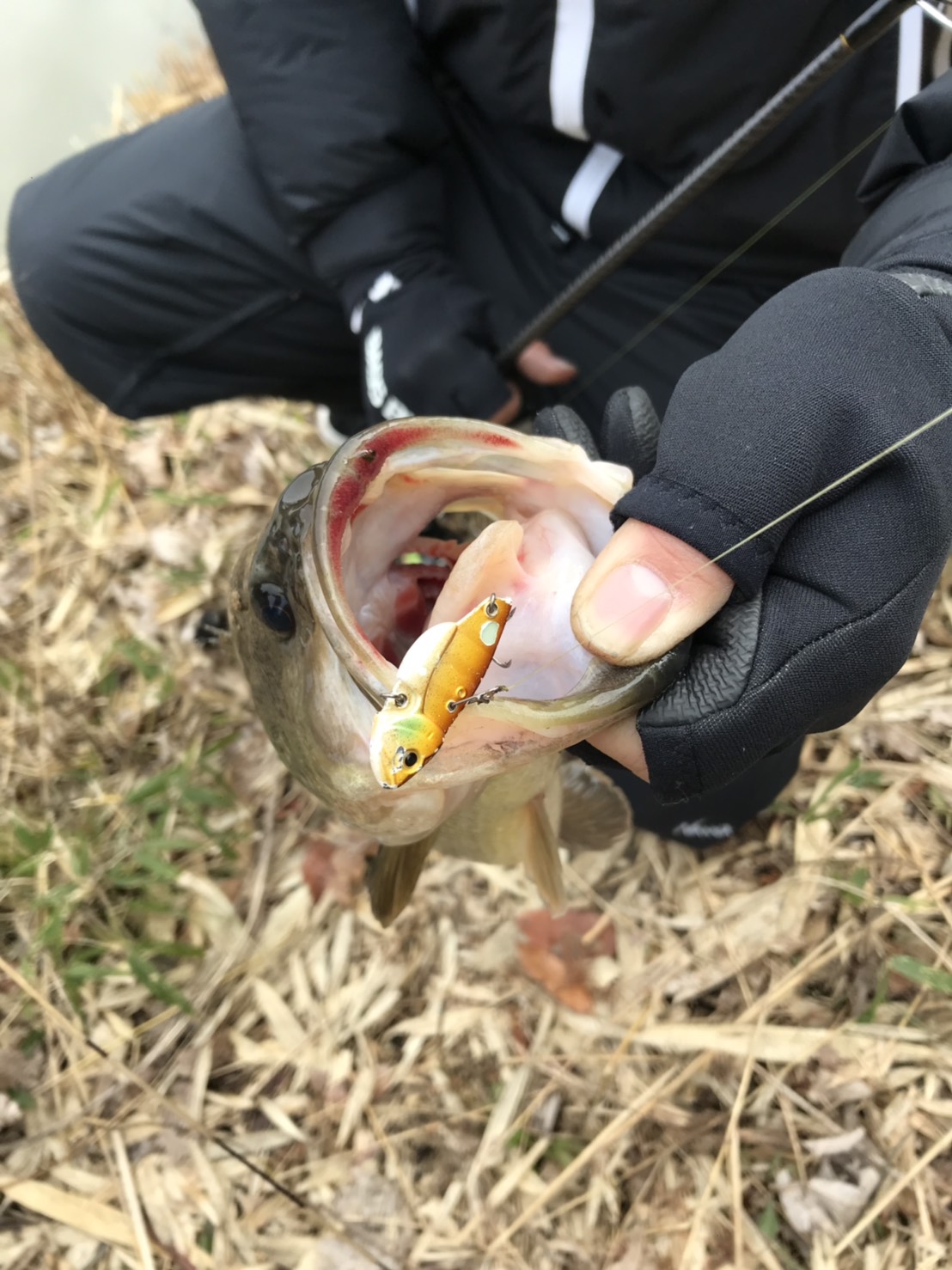 新年一発目の野池