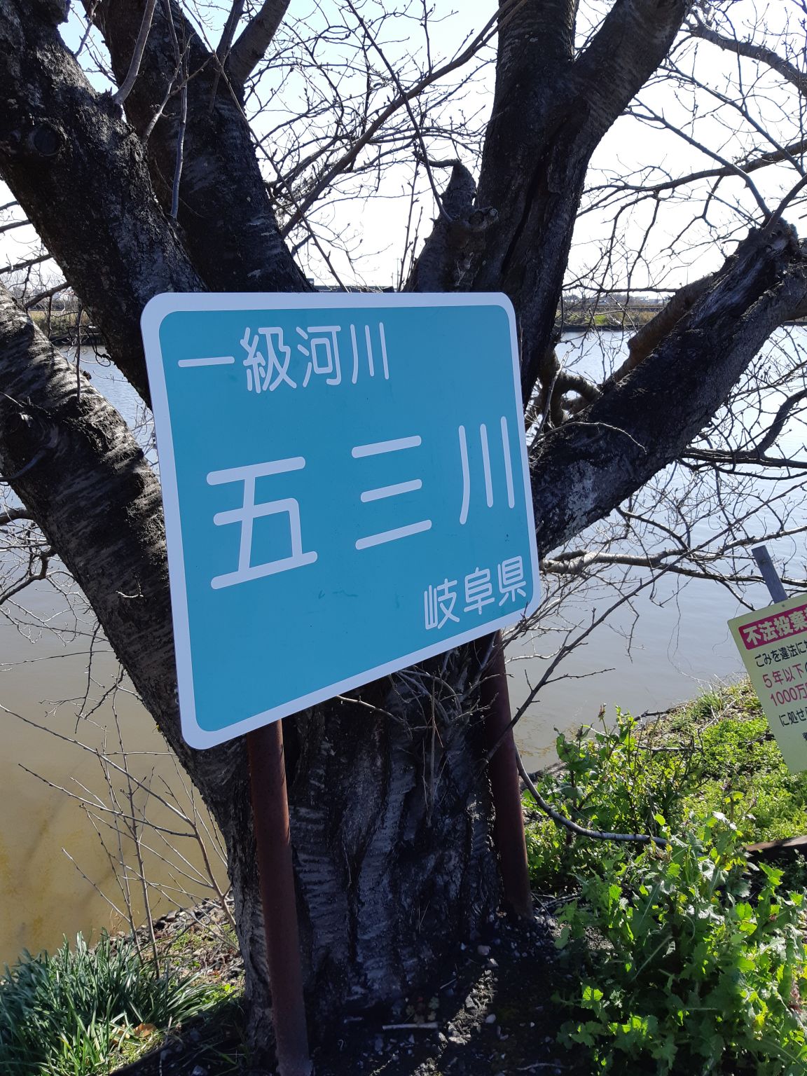 スタッフの門別の五三川釣行