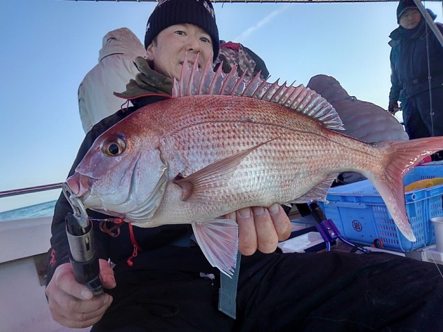 2020.2.13島虎丸39㌢海苔パターンコーラ