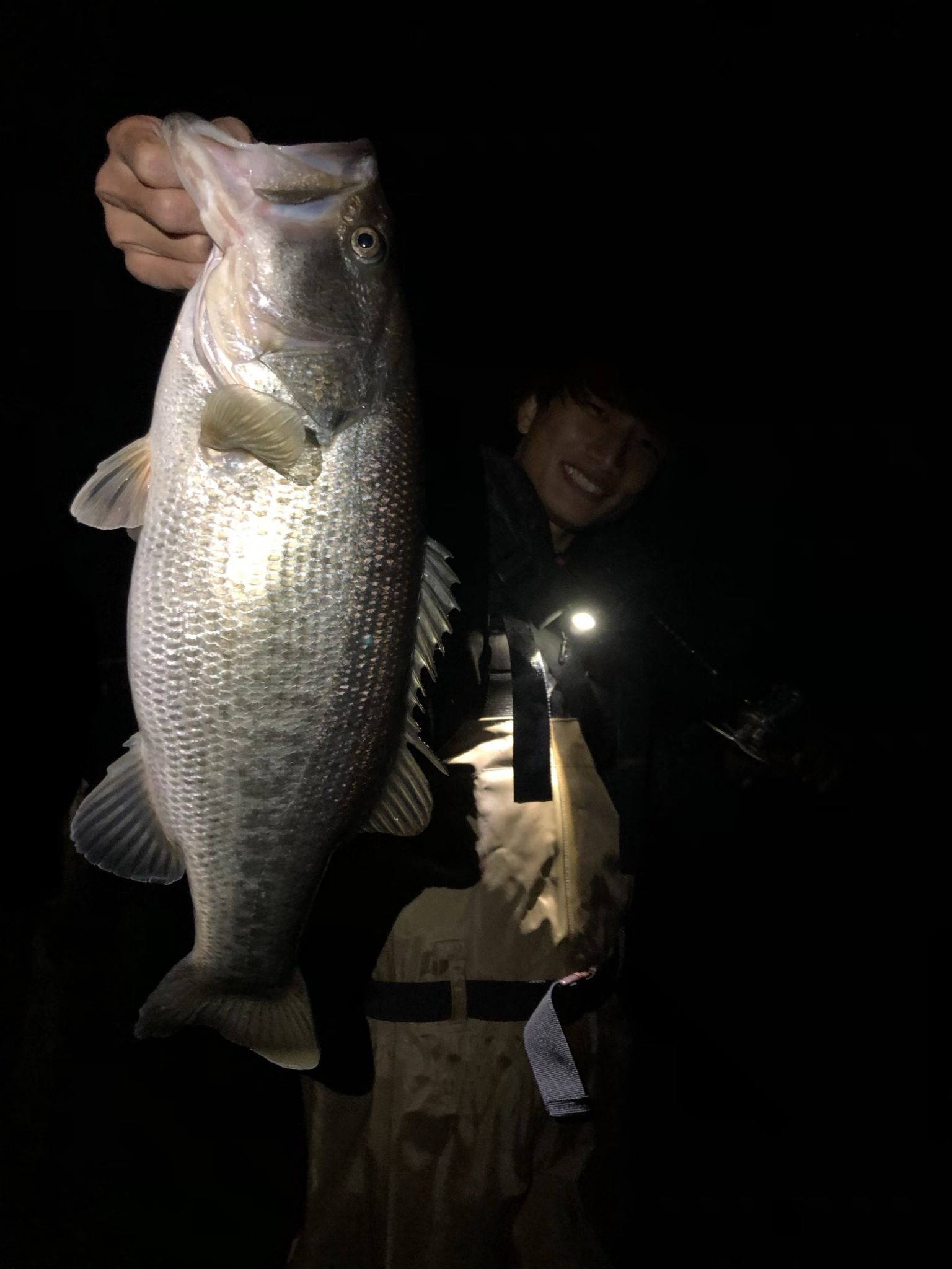 琵琶湖陸っぱり！べた凪に苦戦