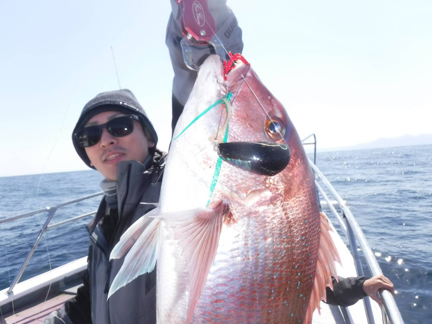 春の日本海、海の中も桜色