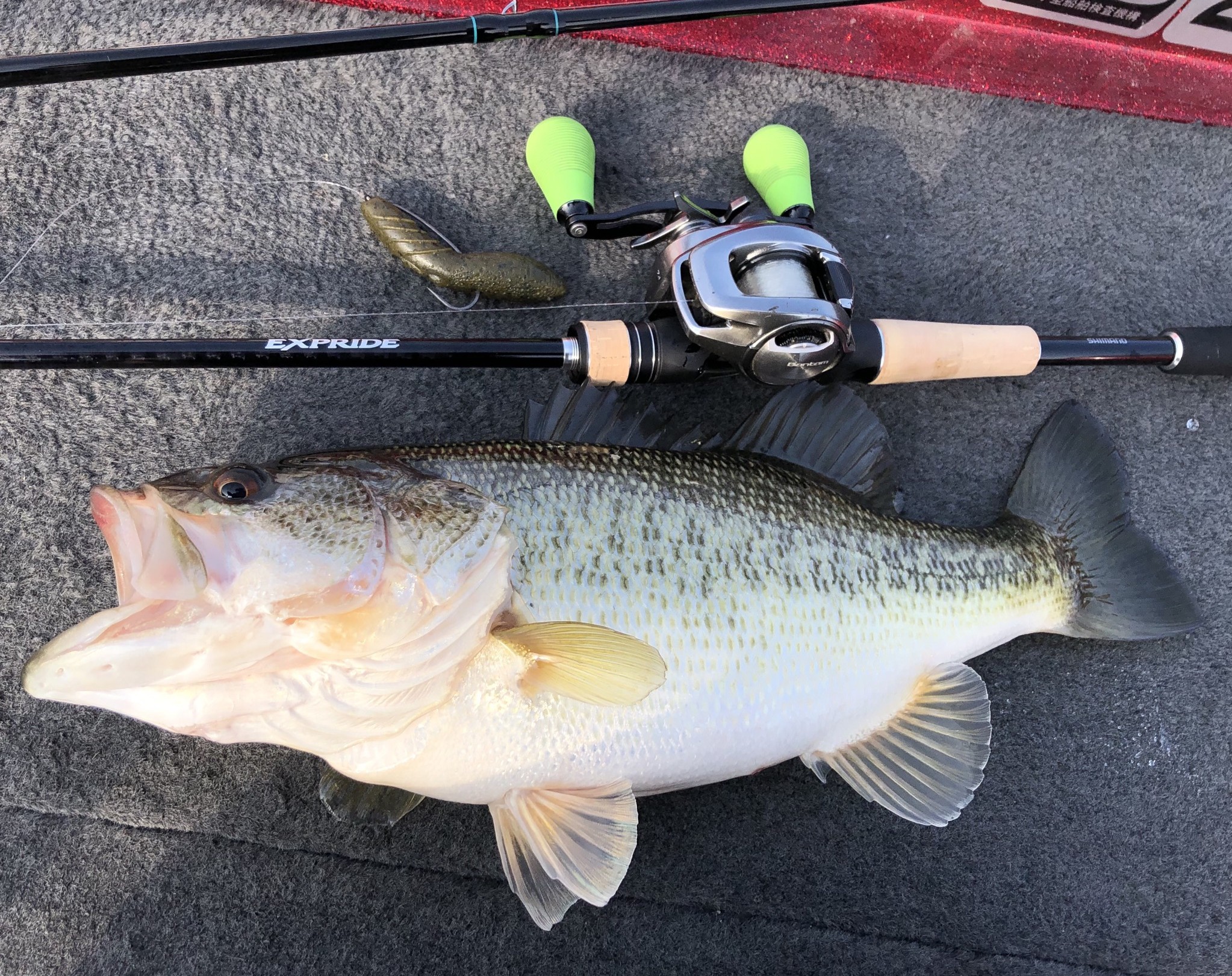 春を求めて琵琶湖ボート釣行！