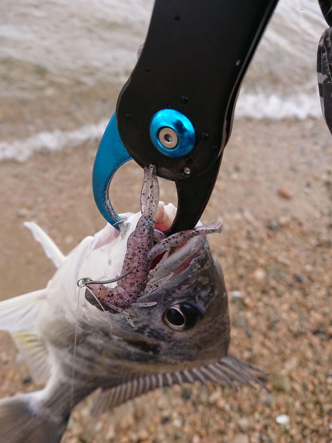 釣れるけど負けた気分