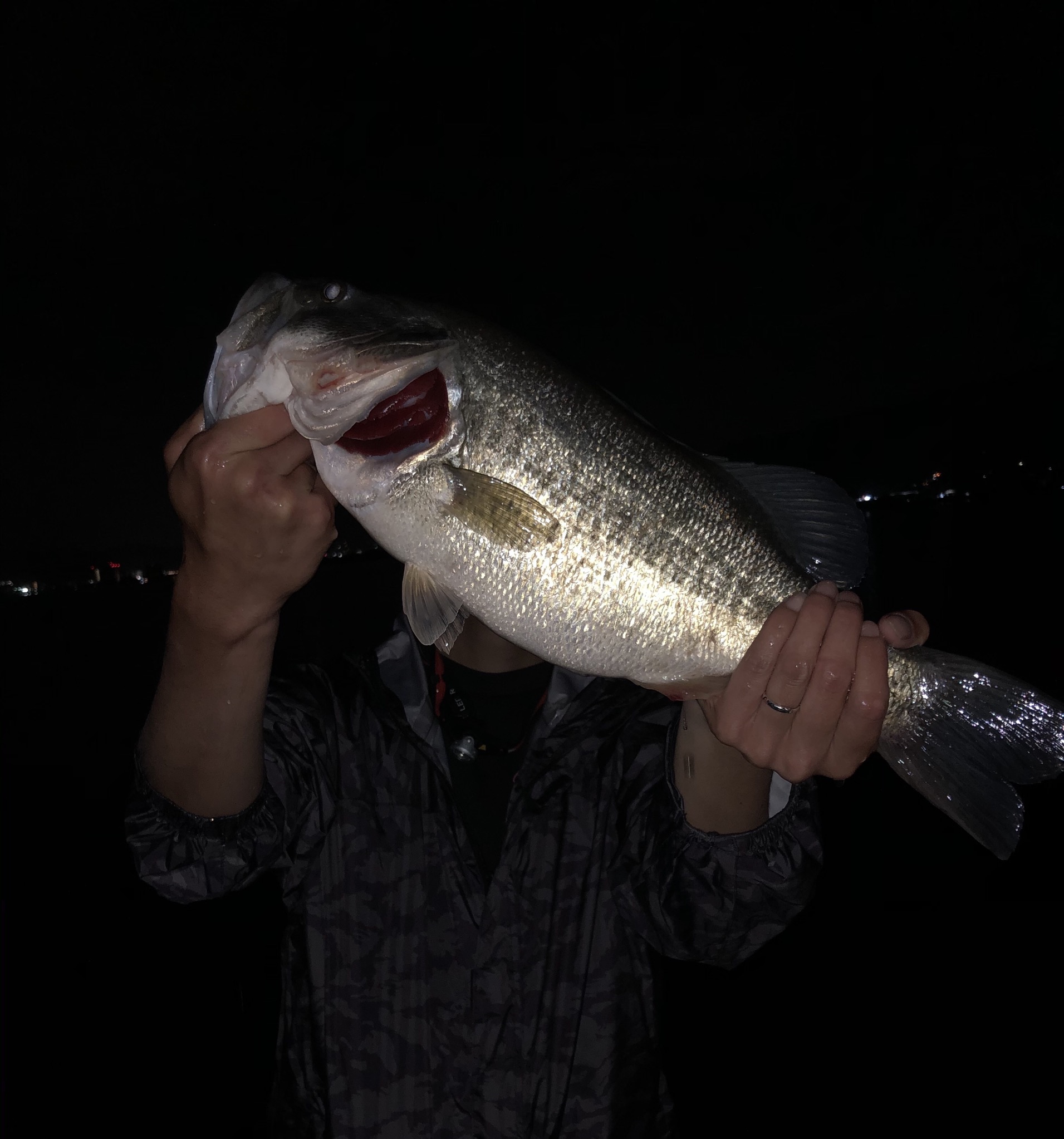 琵琶湖陸っぱり