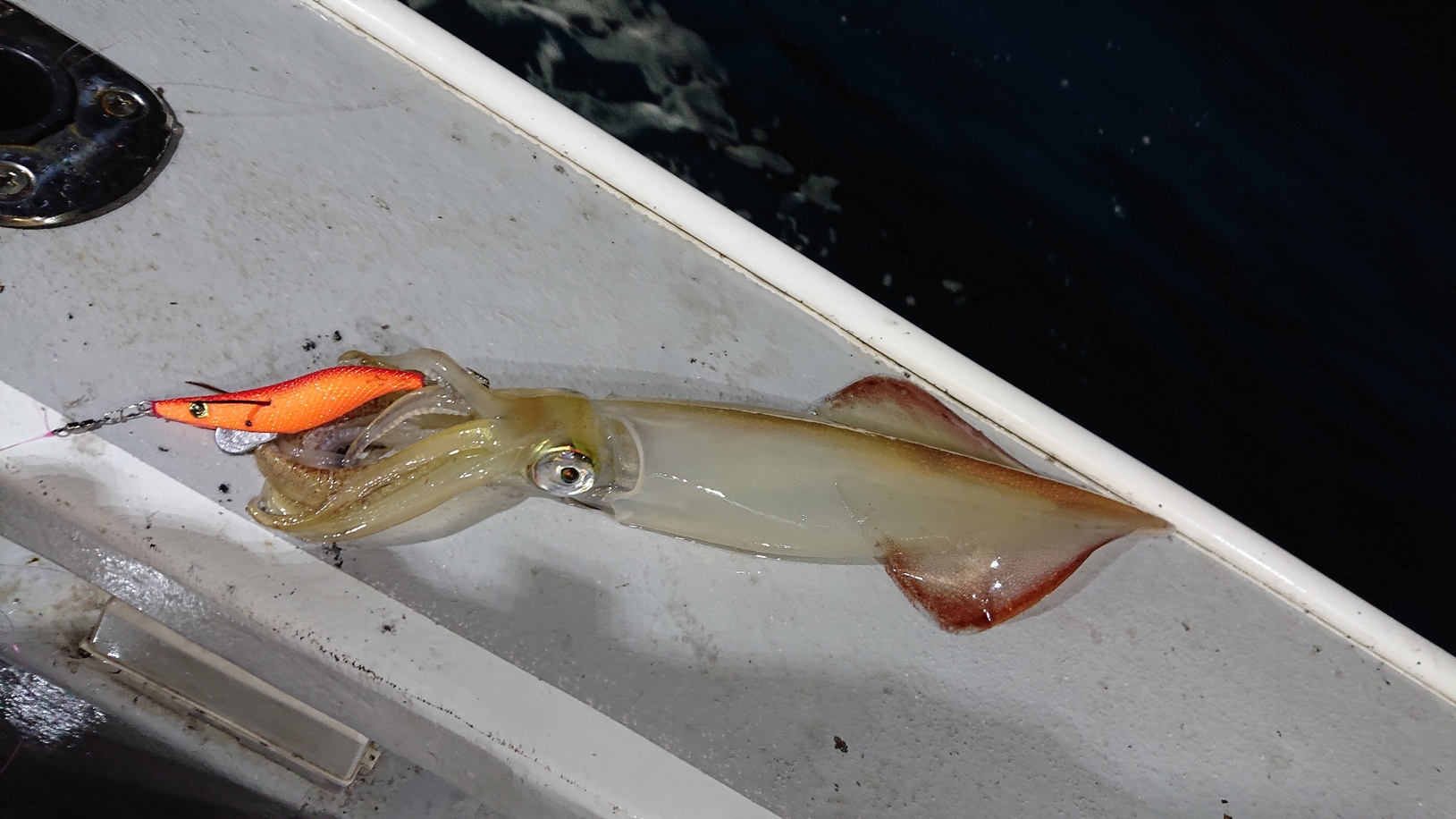 鳥取沖はまだ激流