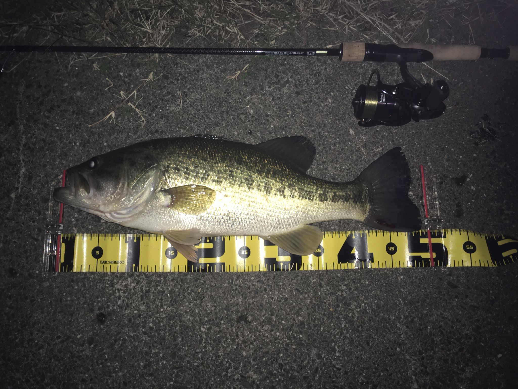 夜の琵琶湖釣行