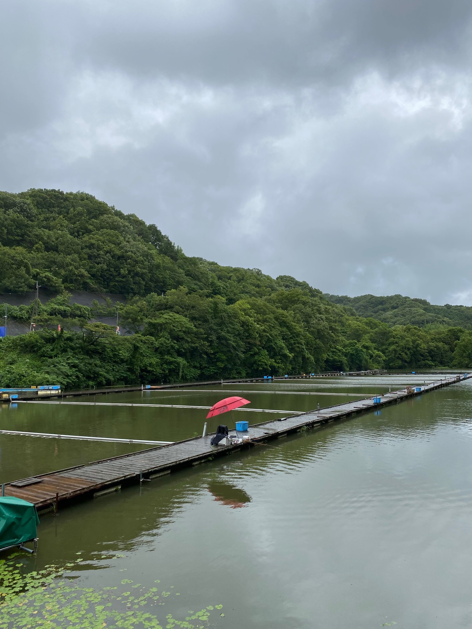 菊水釣行２日目