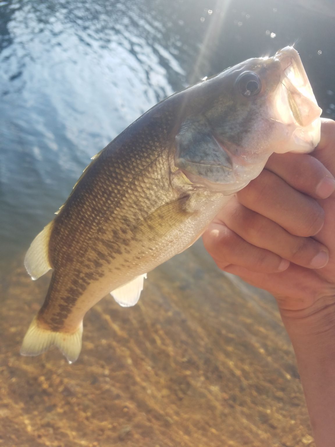 津風呂湖おかっぱり