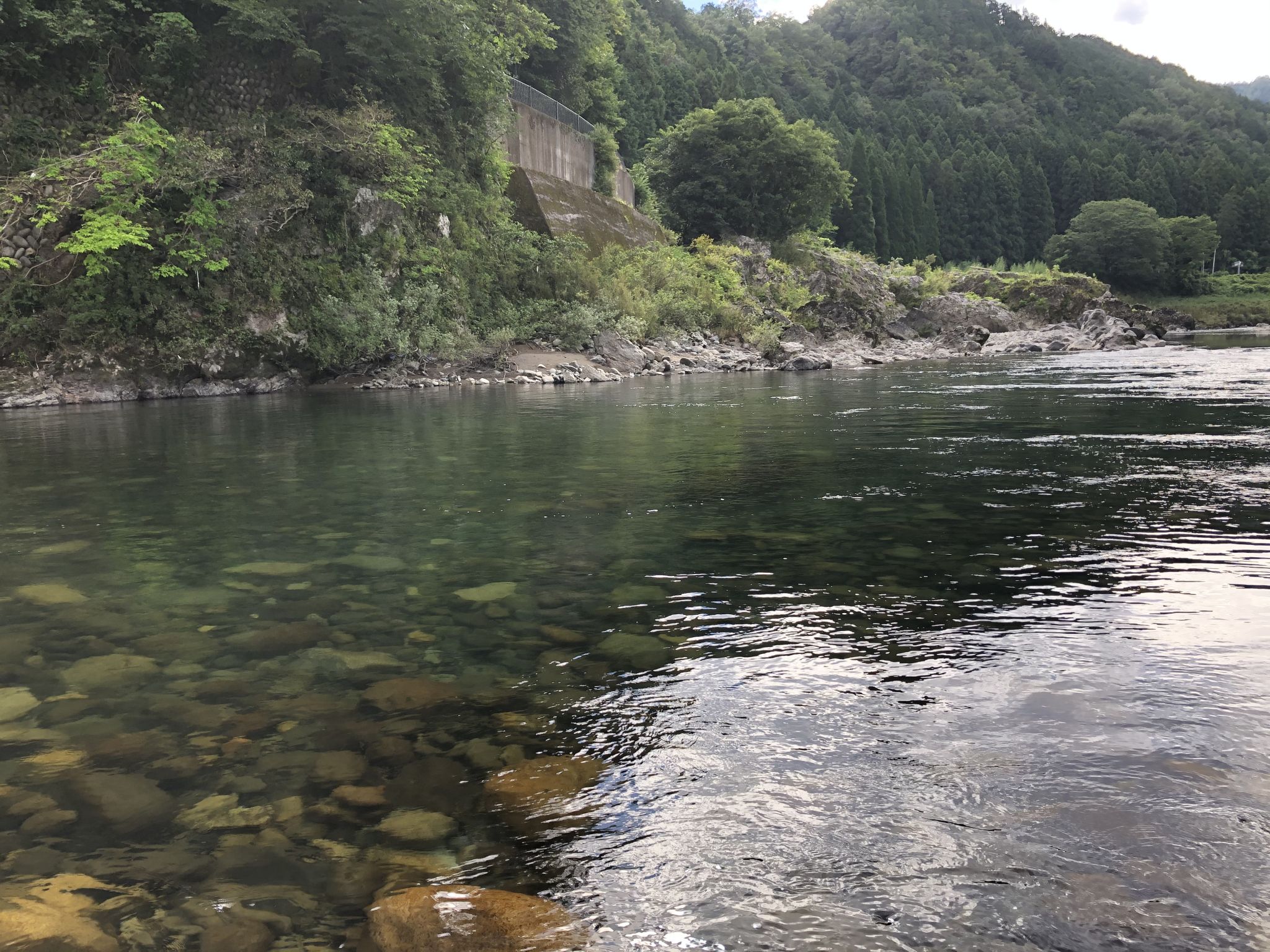 初心者天方の鮎釣り修行