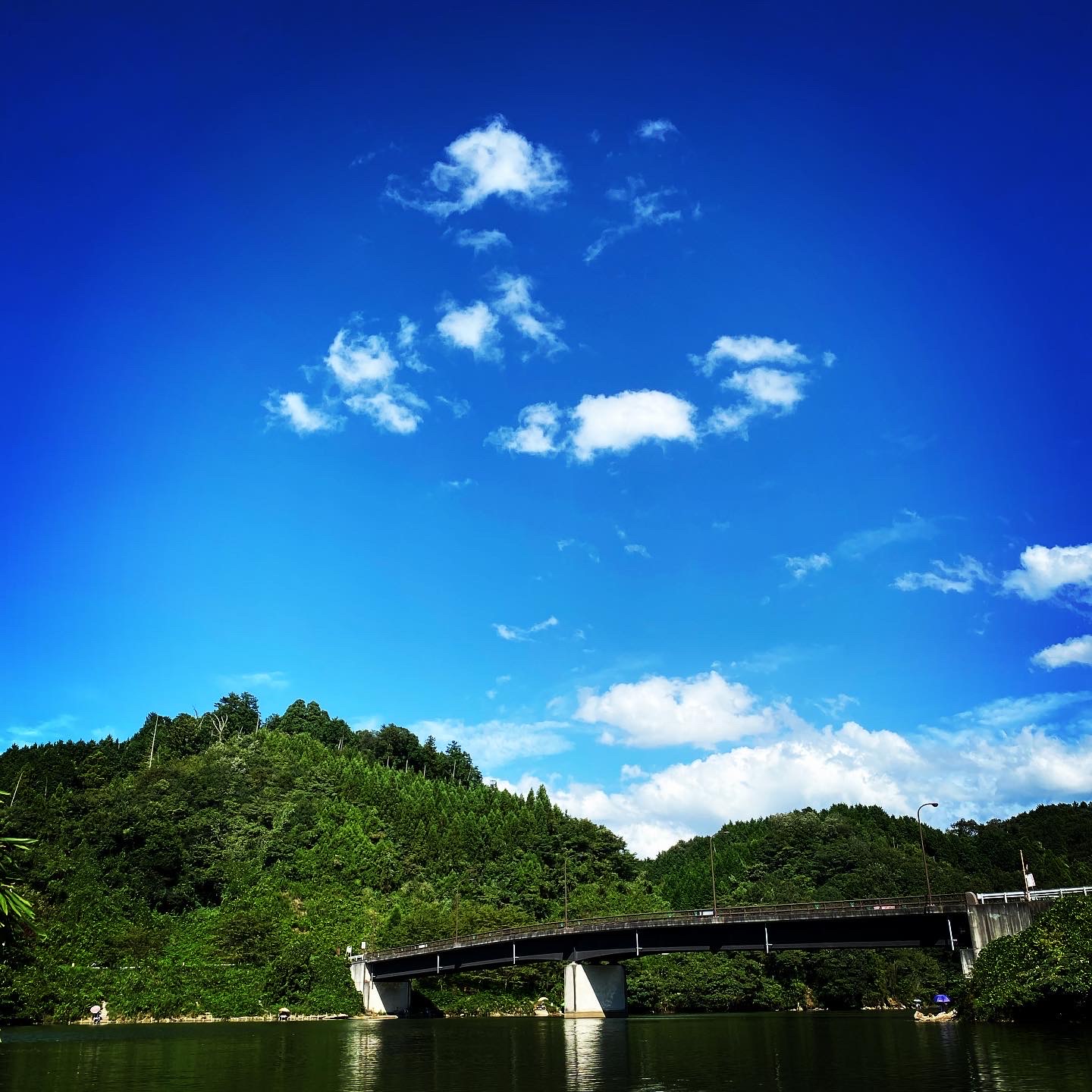 雨後を期待してみたら･･･