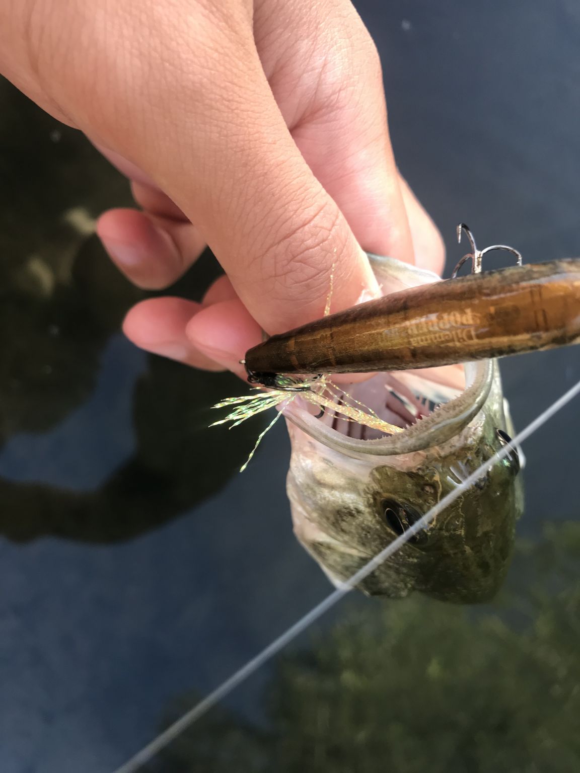 ジレンマポッパーというなの餌釣り